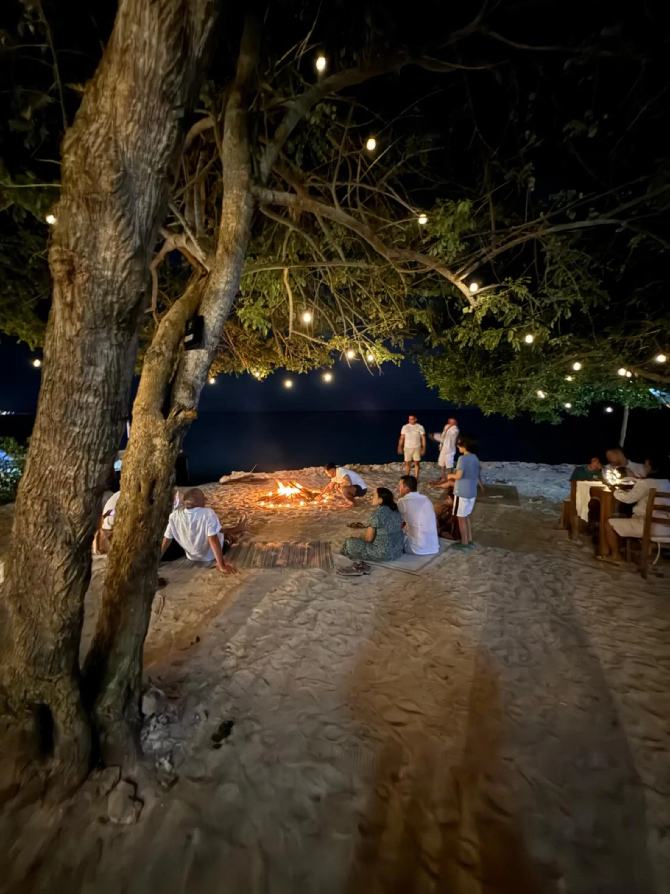 Restaurant/places to eat in Thani Ecobeach Barú