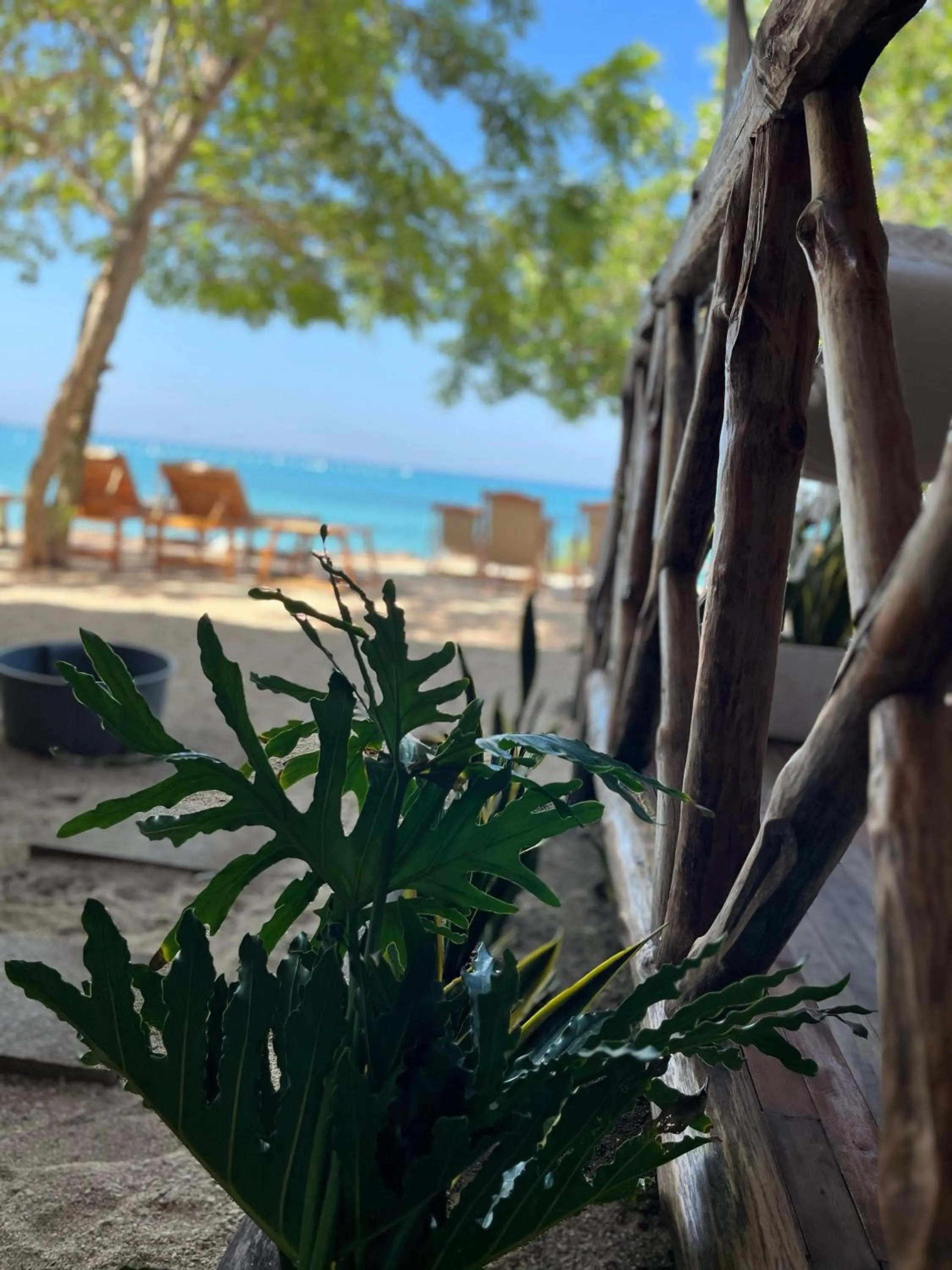 Garden view in Thani Ecobeach Barú