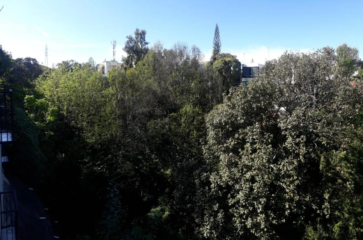Natural landscape in Hotel Posada Santa Fe