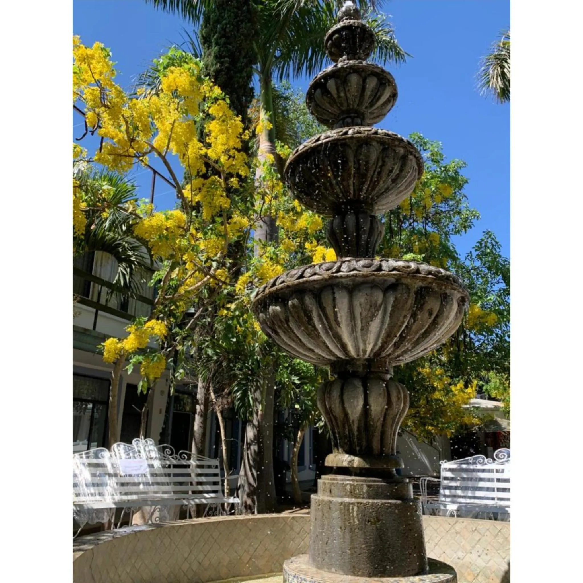 Garden view in Hotel Posada Santa Fe