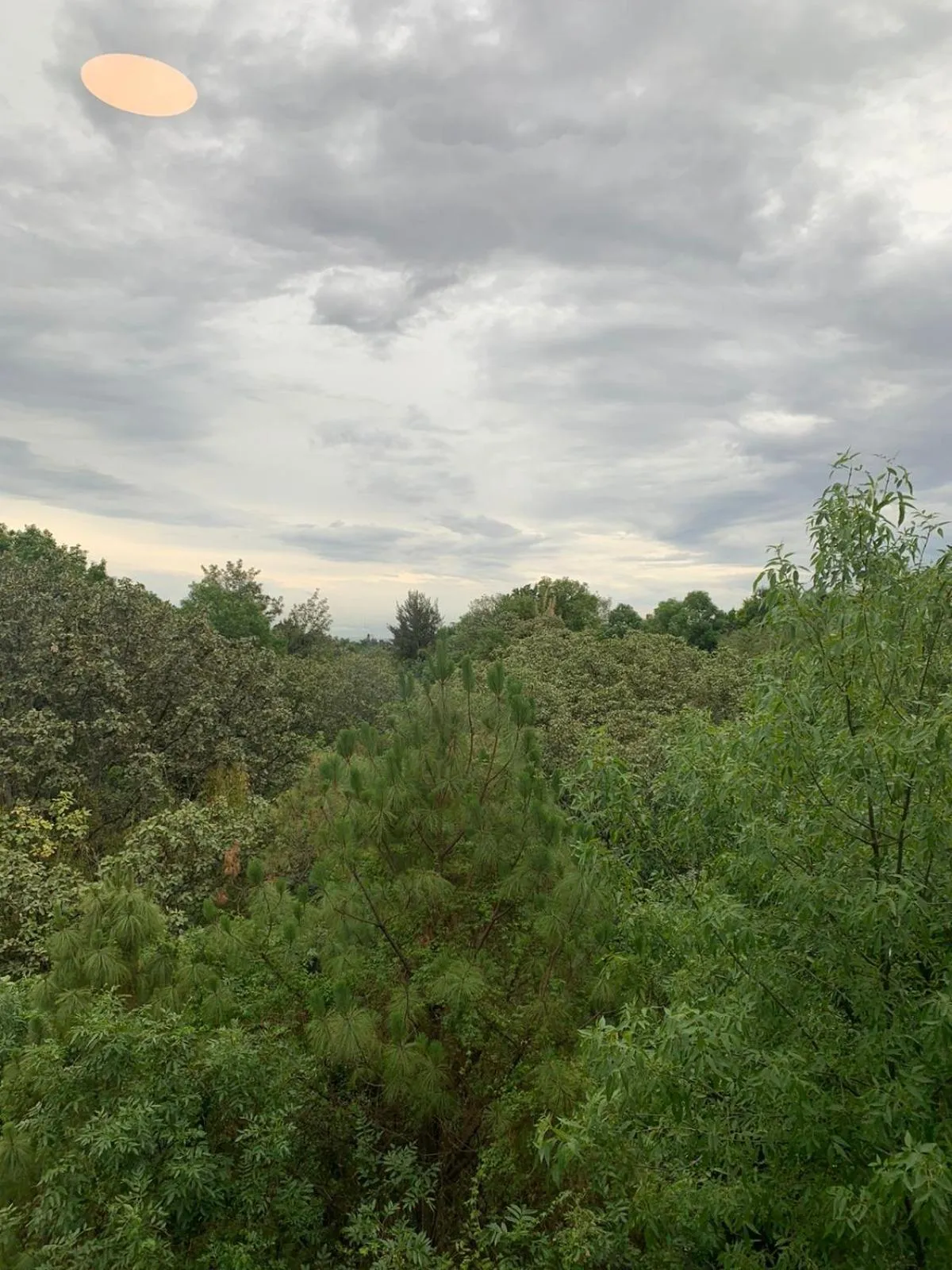 Natural landscape in Hotel Posada Santa Fe