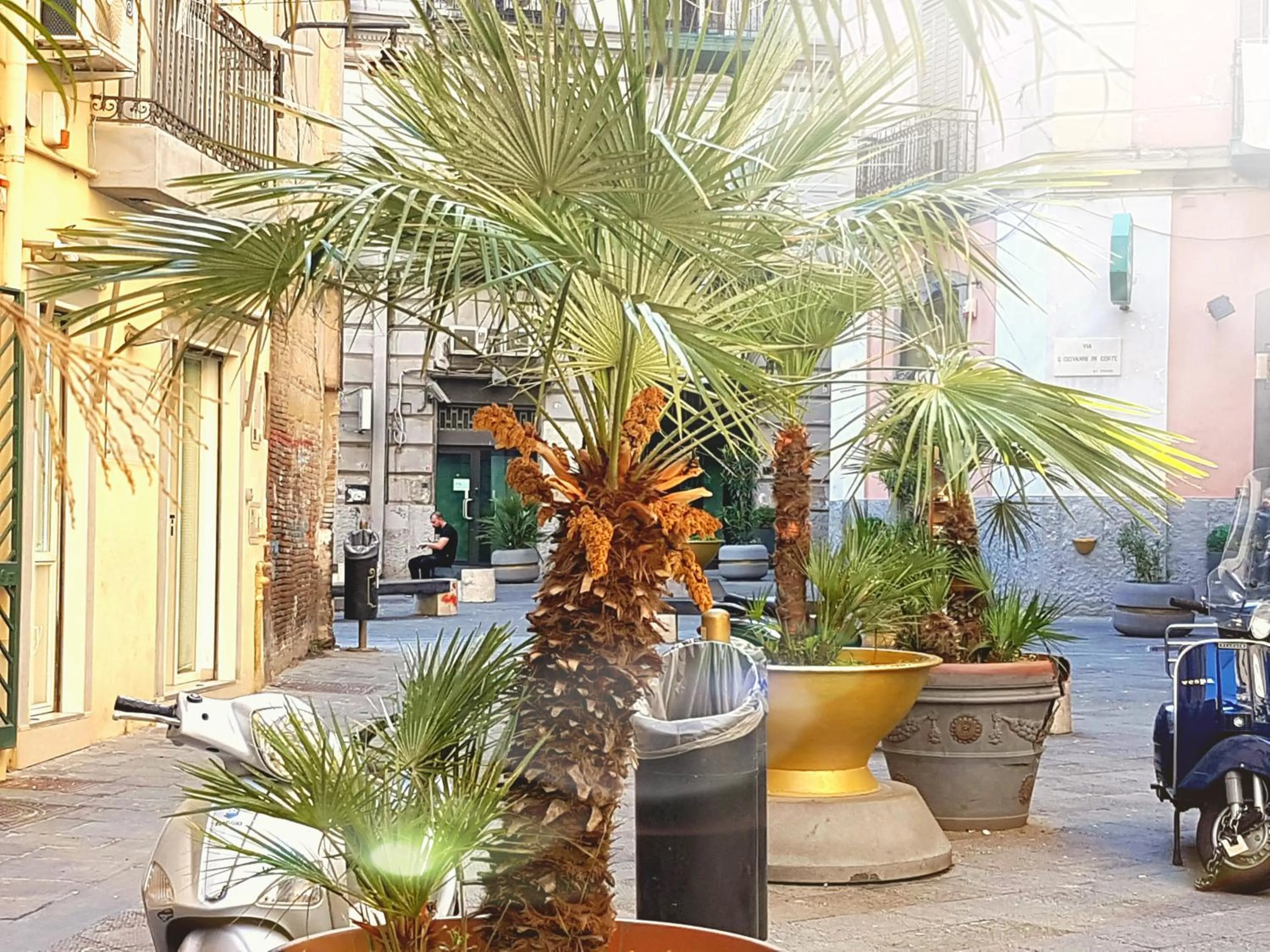 Neighbourhood in GoldenCube Guest House