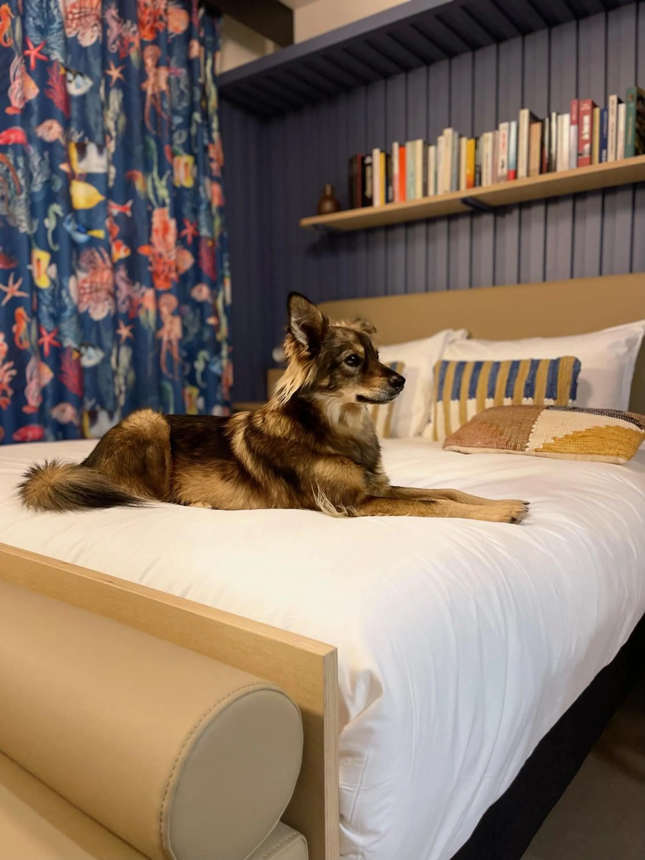 Bed in JOST Hôtel Le Havre Centre Gare