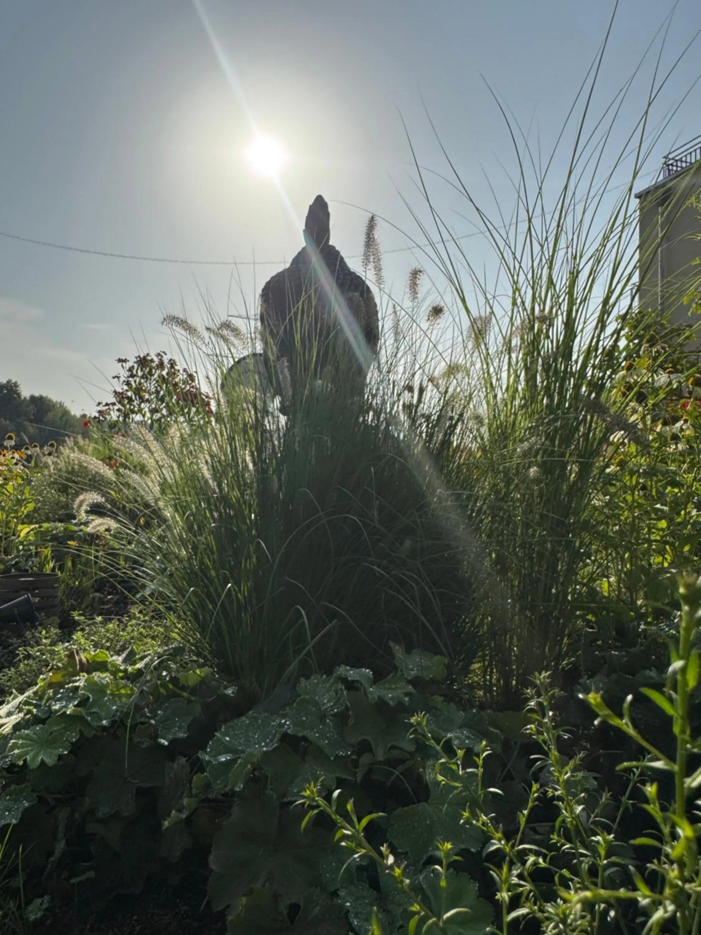 Fair n Square Hotel 24 Stunden Self-Check In