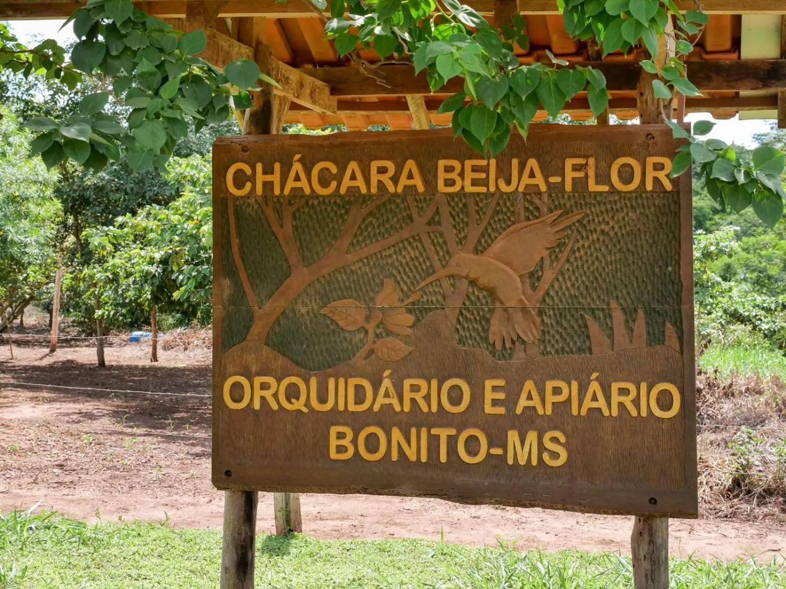 Chácara Beija Flor