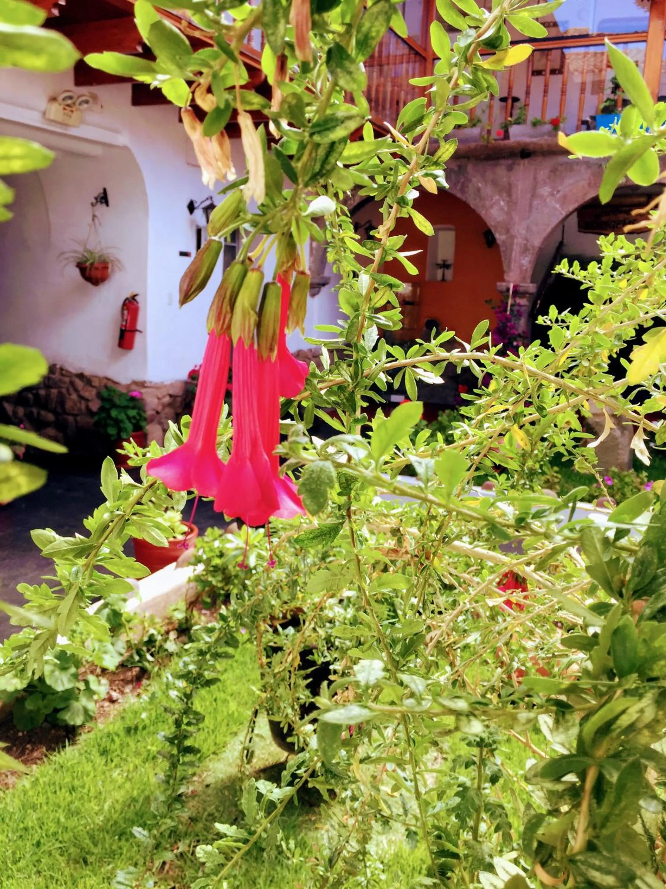 Garden in Kori Gems Inn