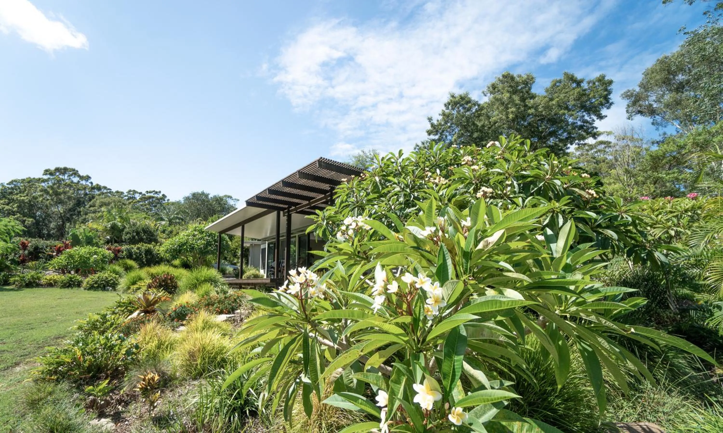 Garden in Lily Pad at Byron Bay
