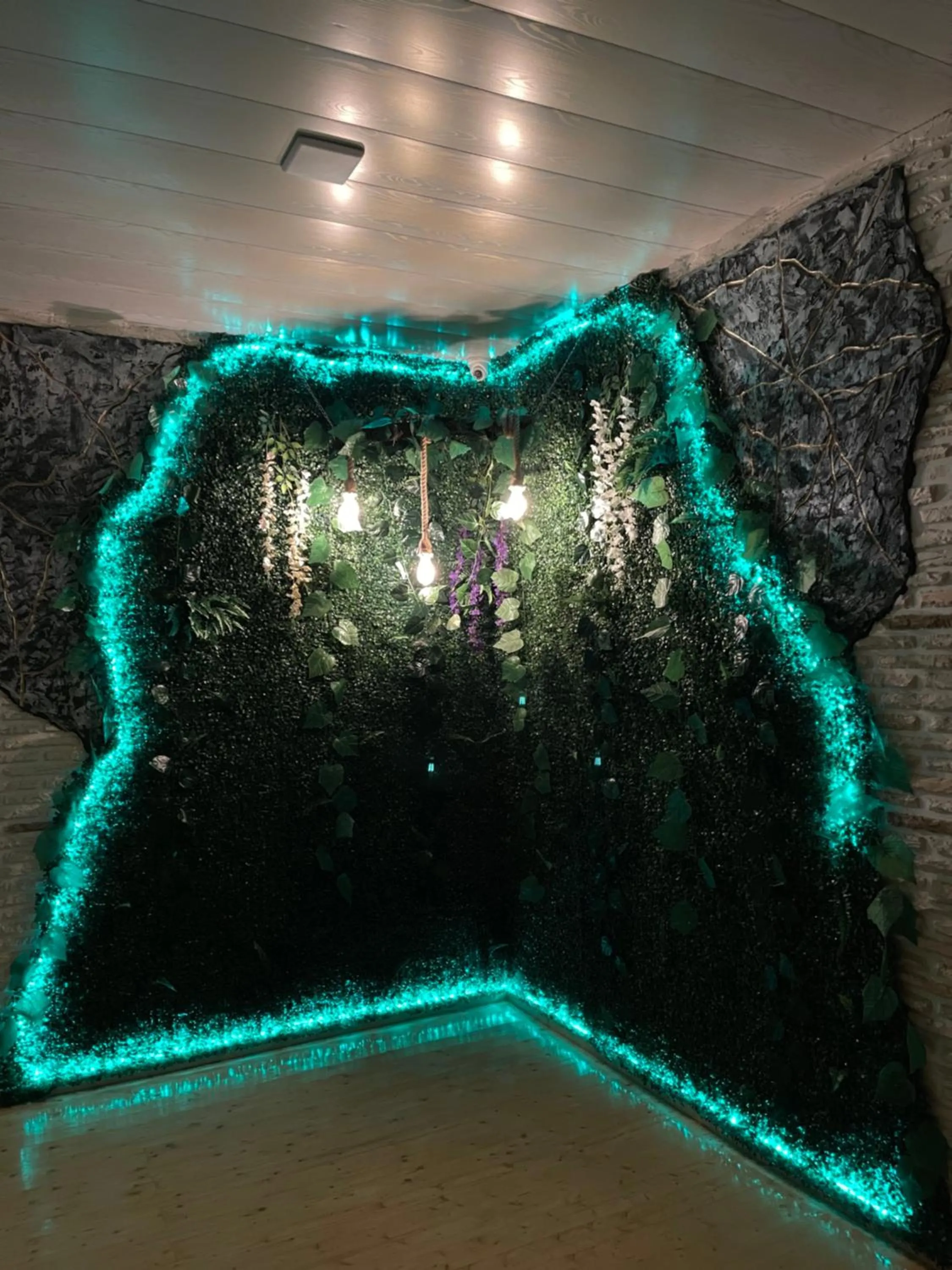 Natural landscape in NANOSH EAST HOTEL