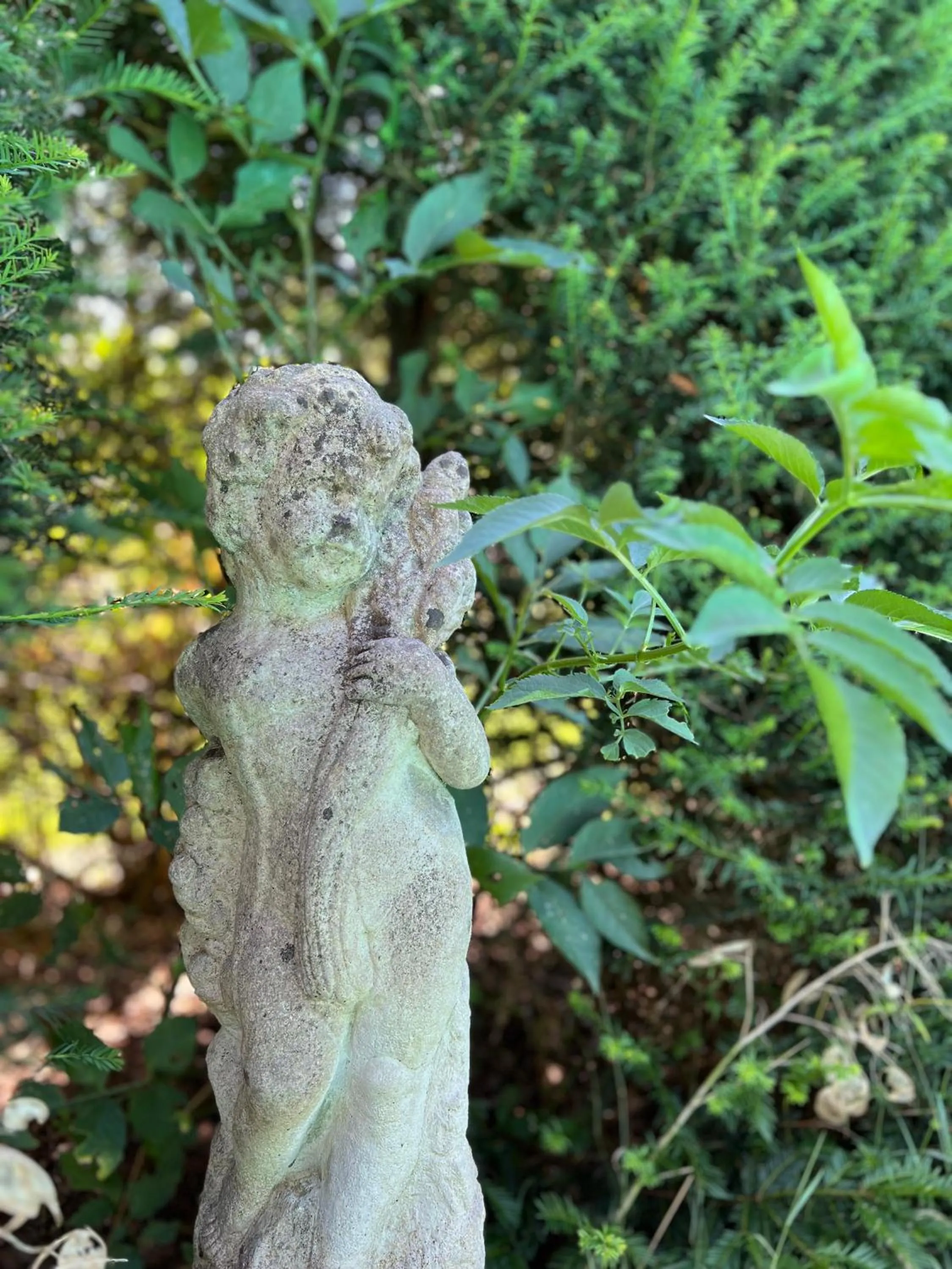 Garden in Villa de Nachtegaal