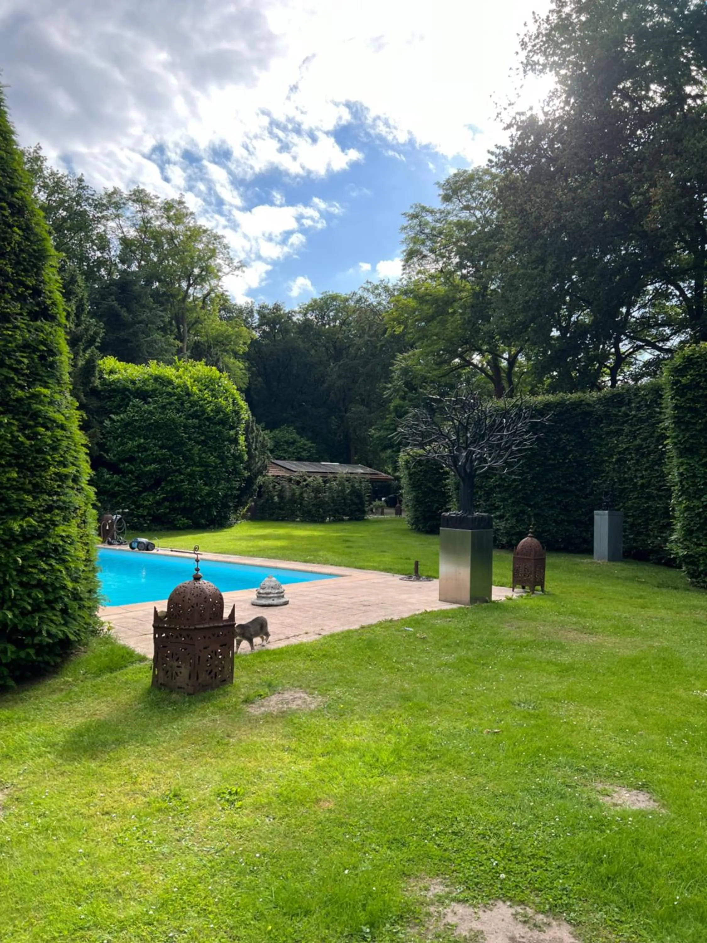Garden in Villa de Nachtegaal
