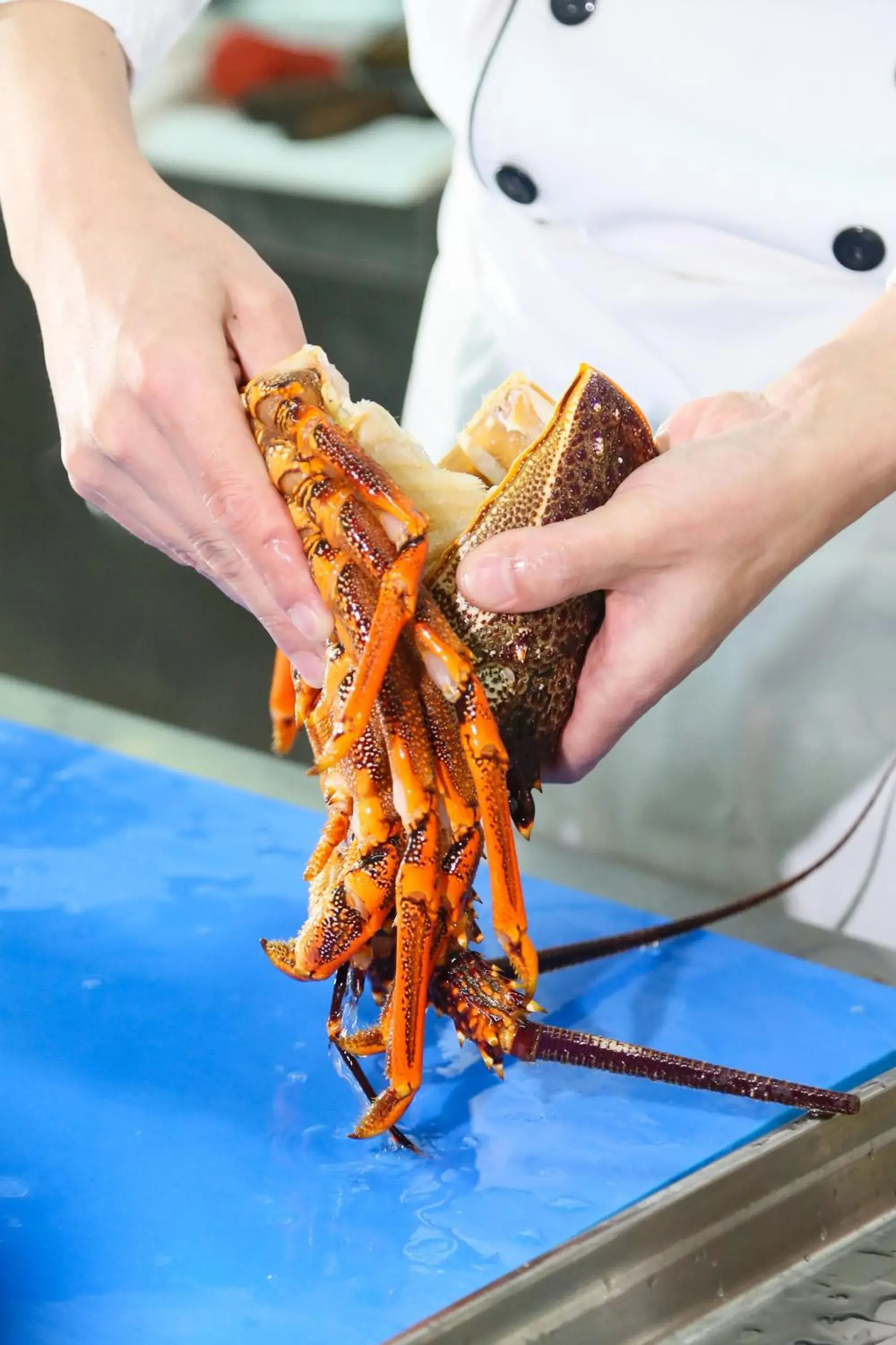 Food and drinks in Shangri-La Qinhuangdao Food and drinks in Shangri-La Qinhuangdao