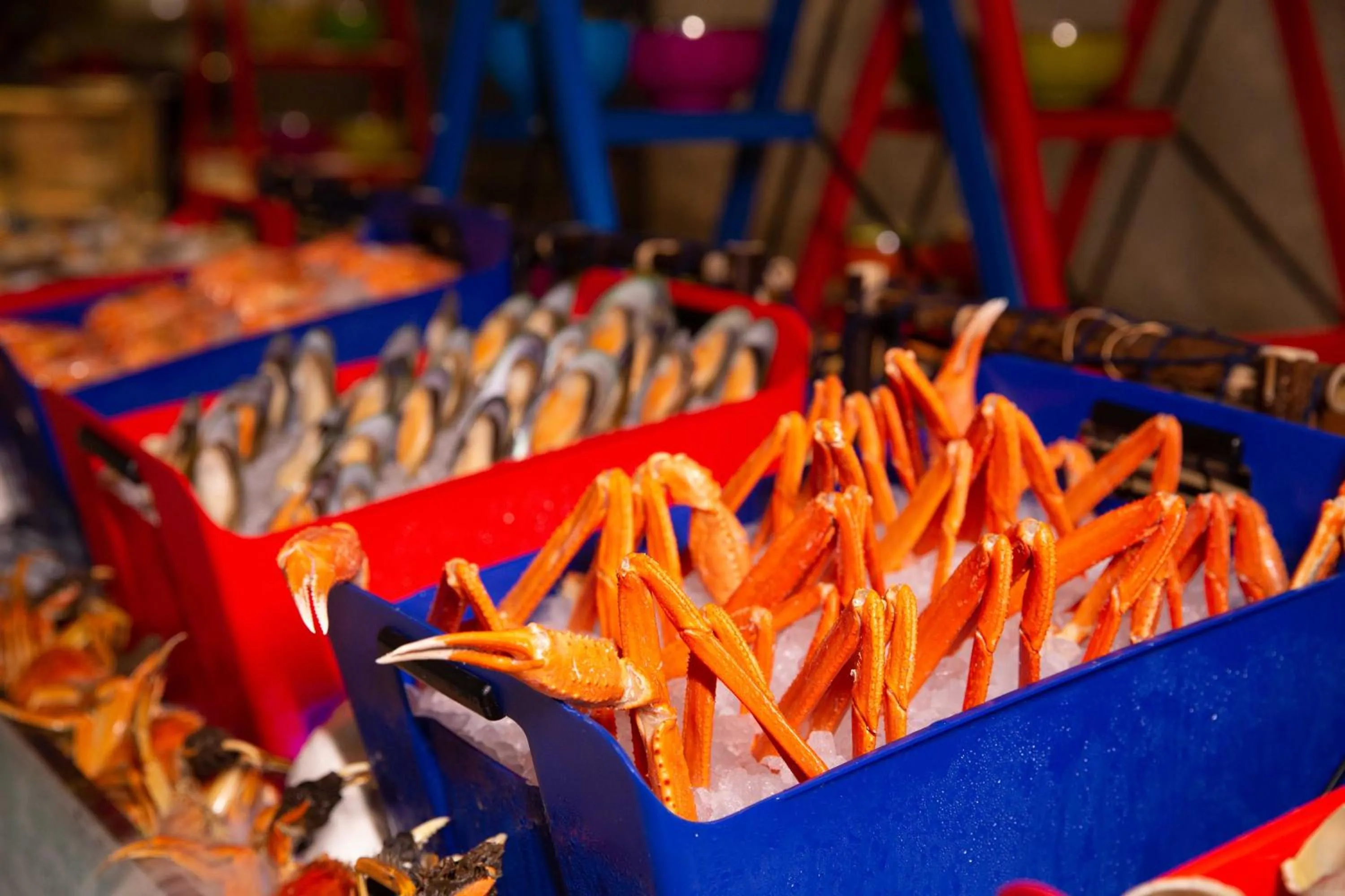 Restaurant/places to eat in Shangri-La Qinhuangdao