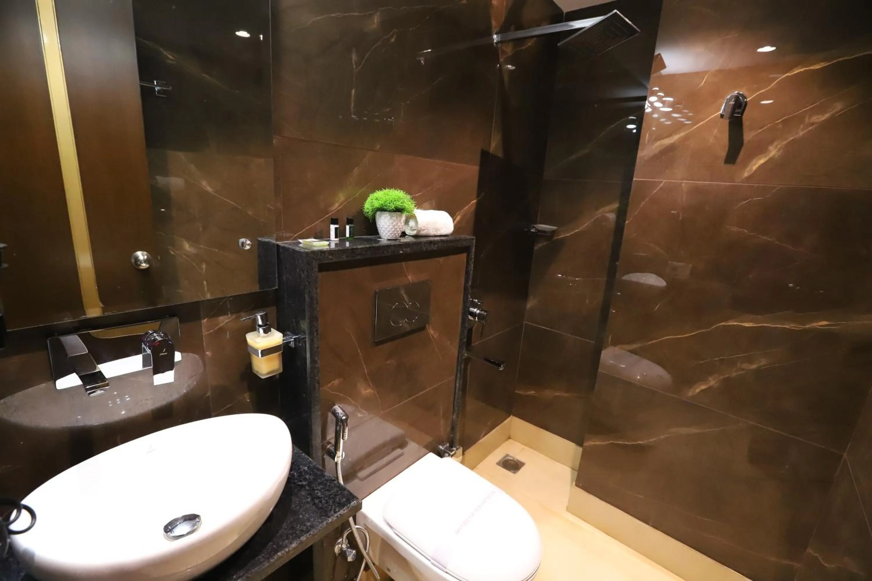Bathroom in Ashoka Hotel Karol Bagh Delhi