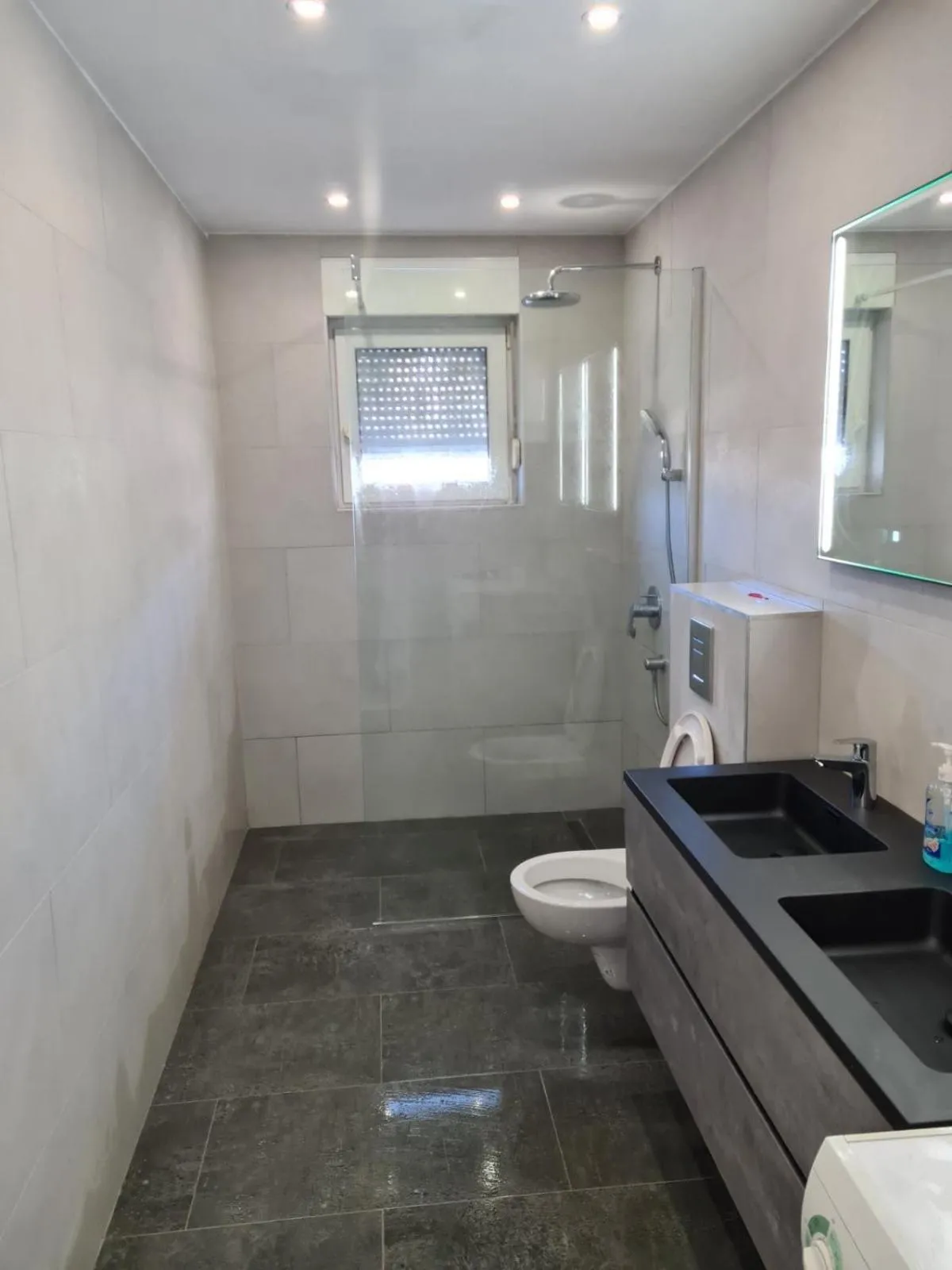 Apartment Topla