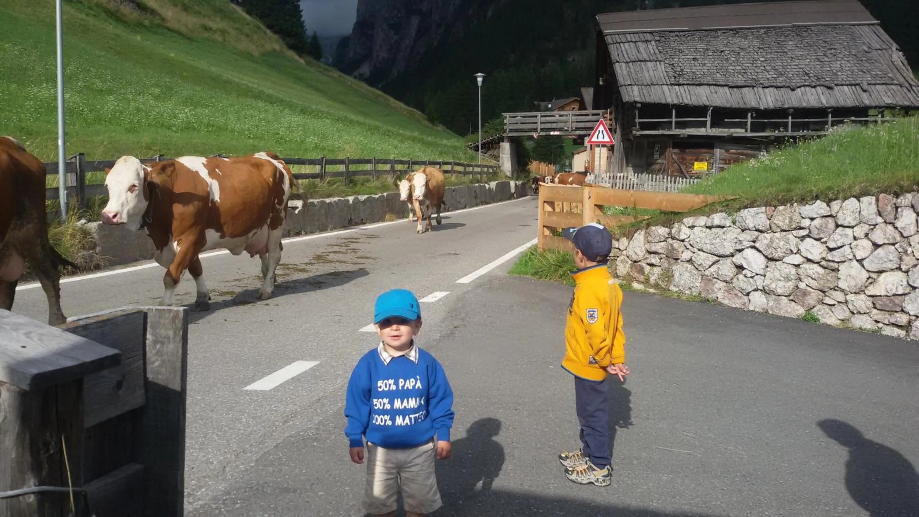 Pets in Garni La Majon