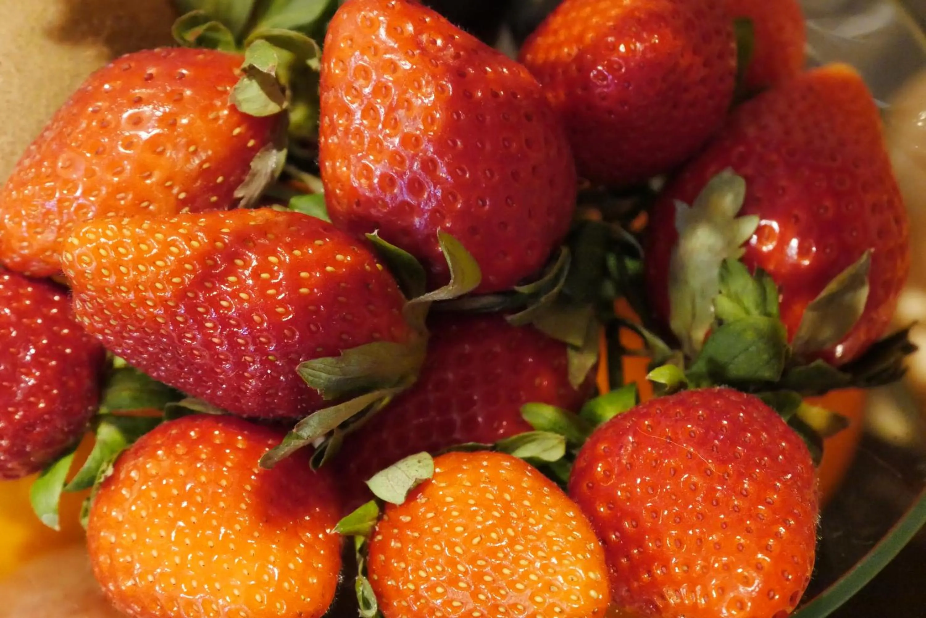 Food close-up in Garni La Majon
