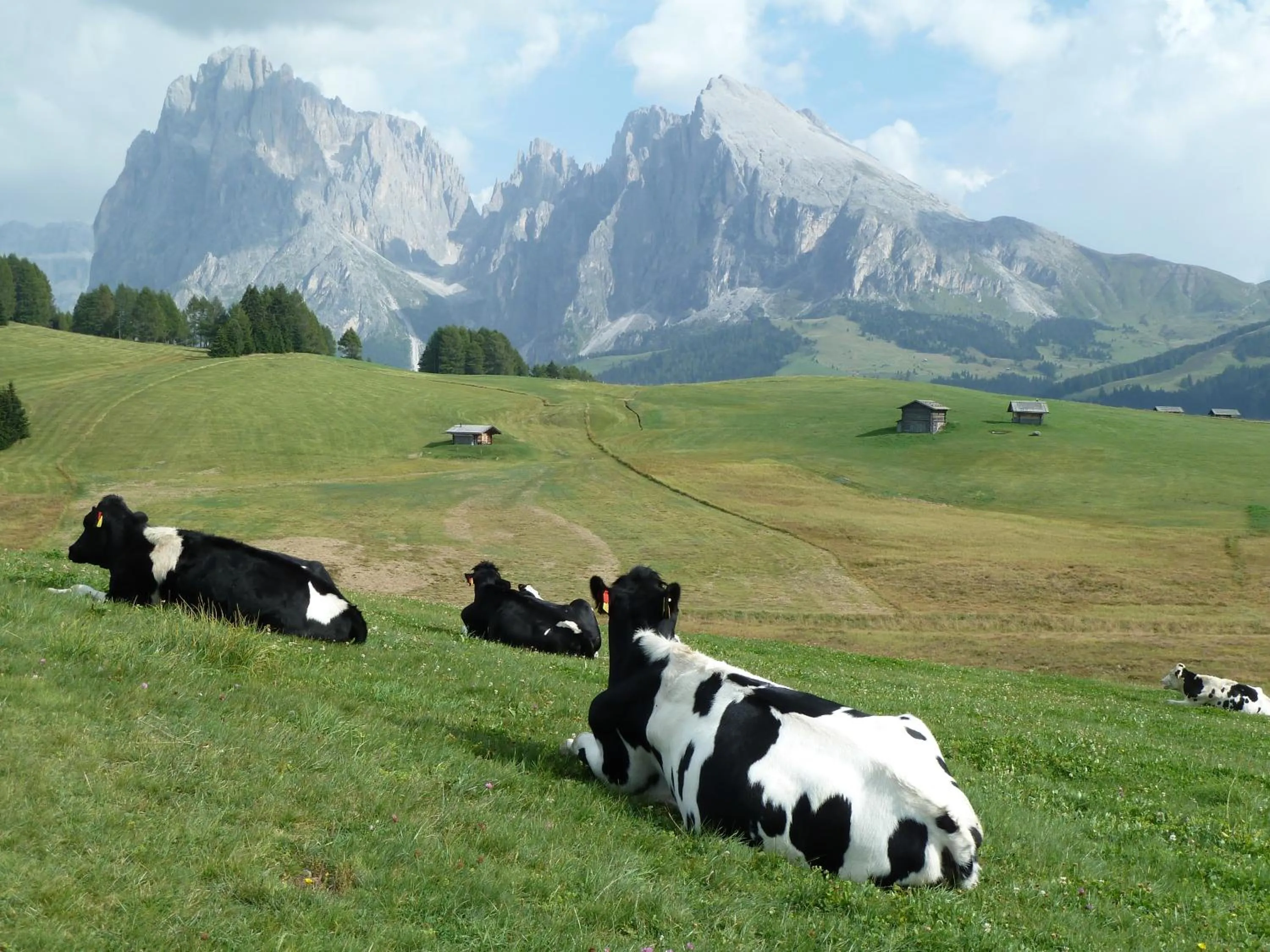 Natural landscape in Garni La Majon