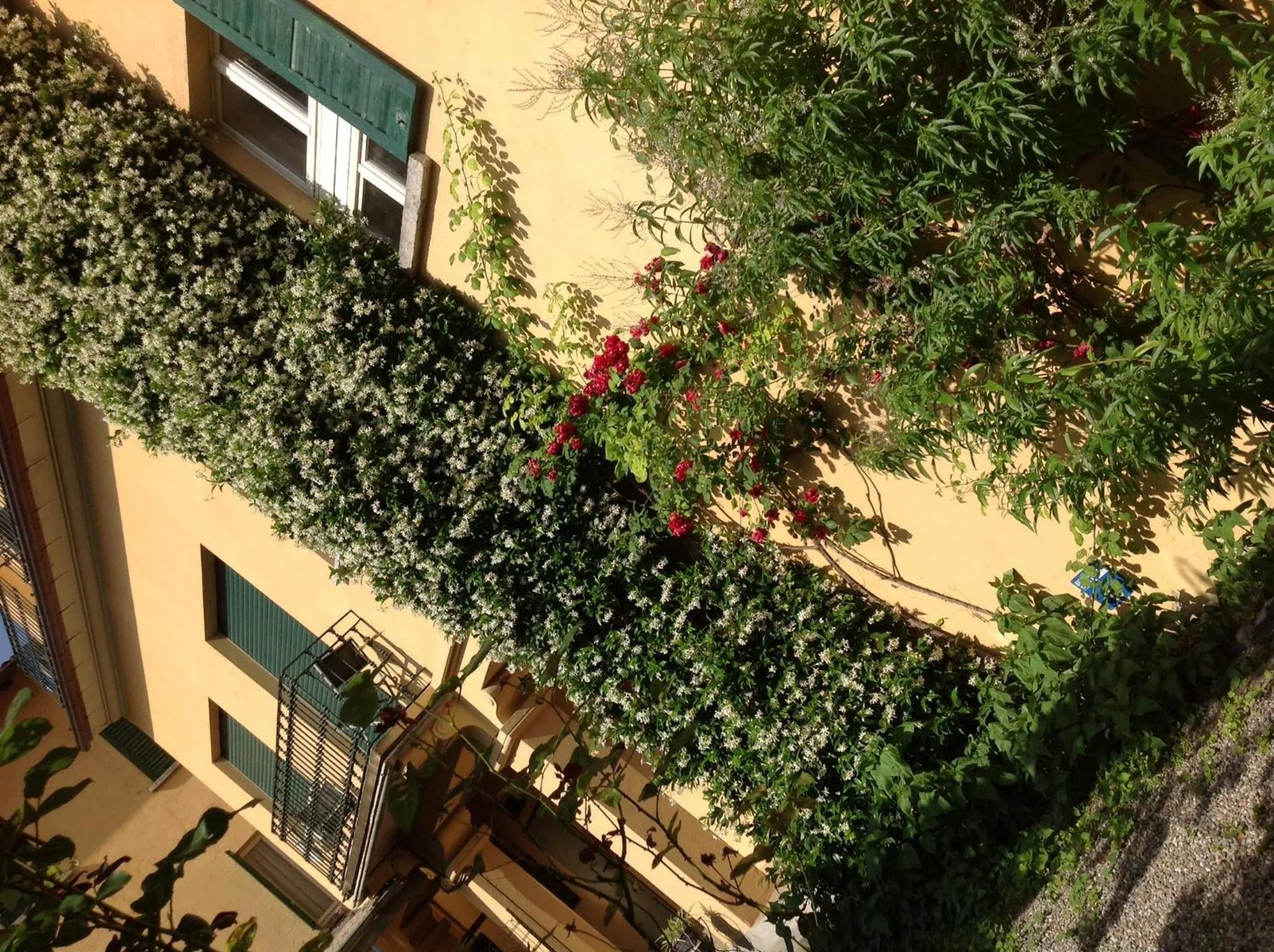 Decorative detail in Albergo Giardinetto