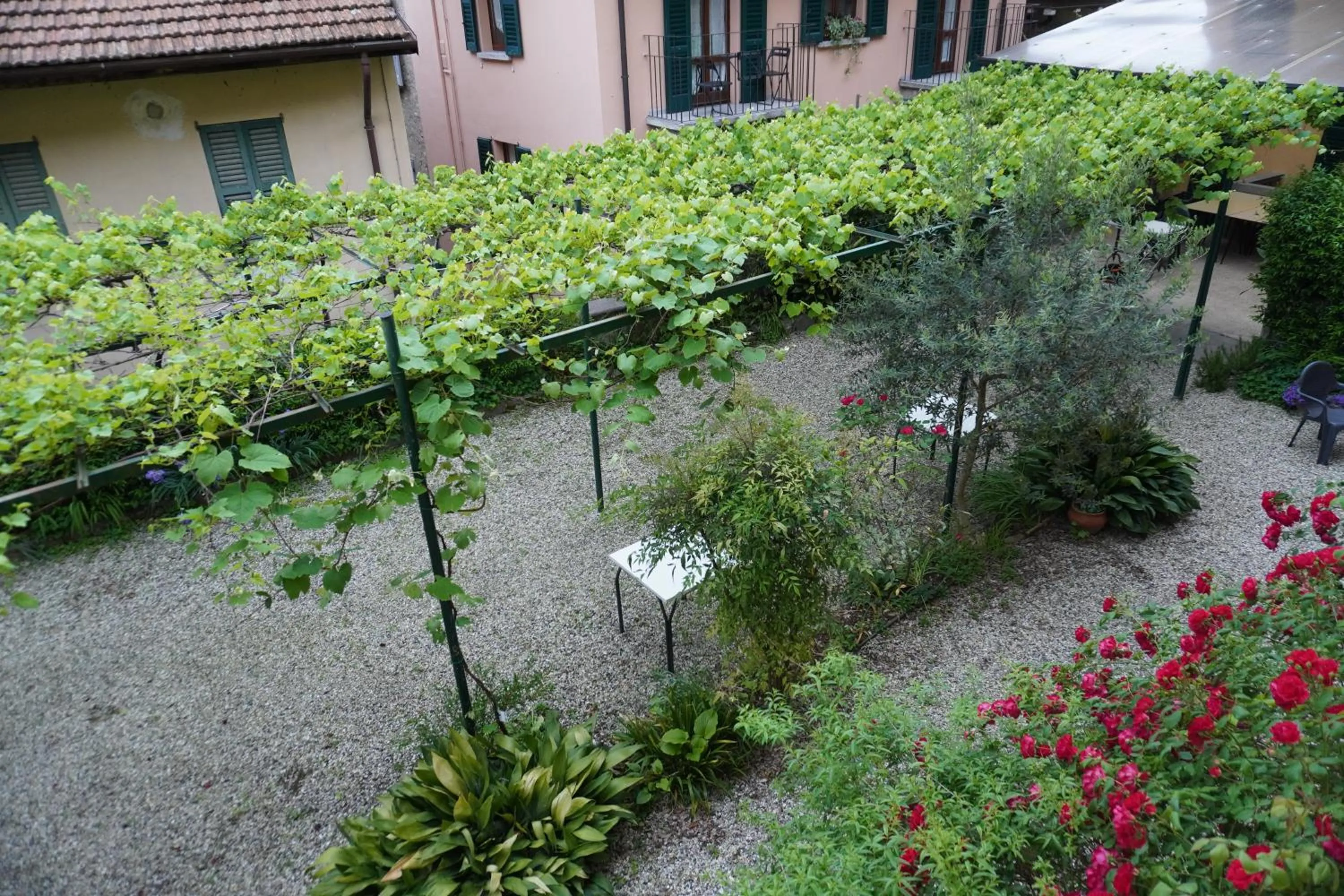Garden in Albergo Giardinetto