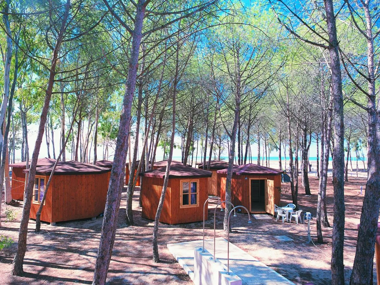 Property building in Spinnaker