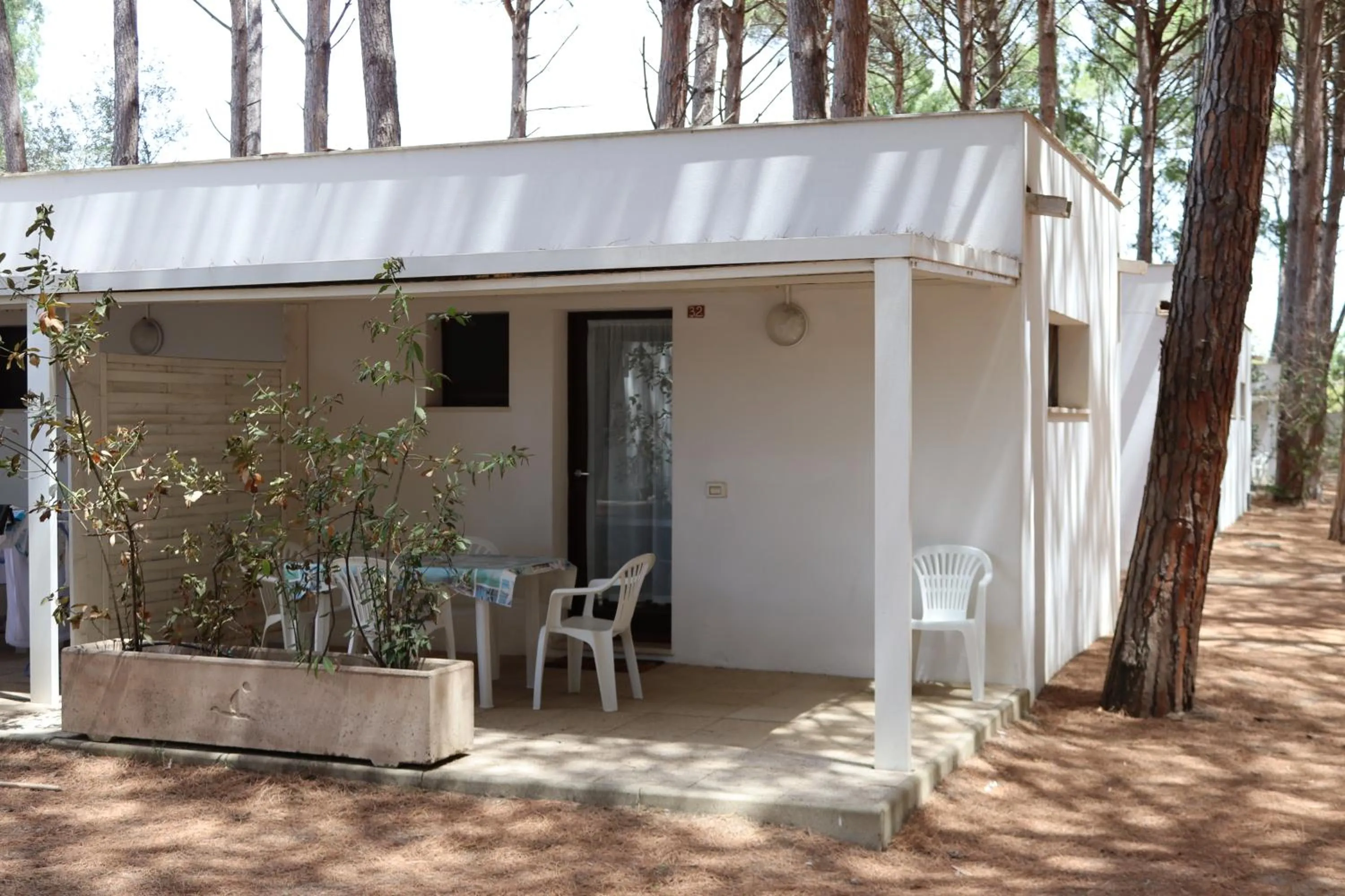 Property building in Spinnaker