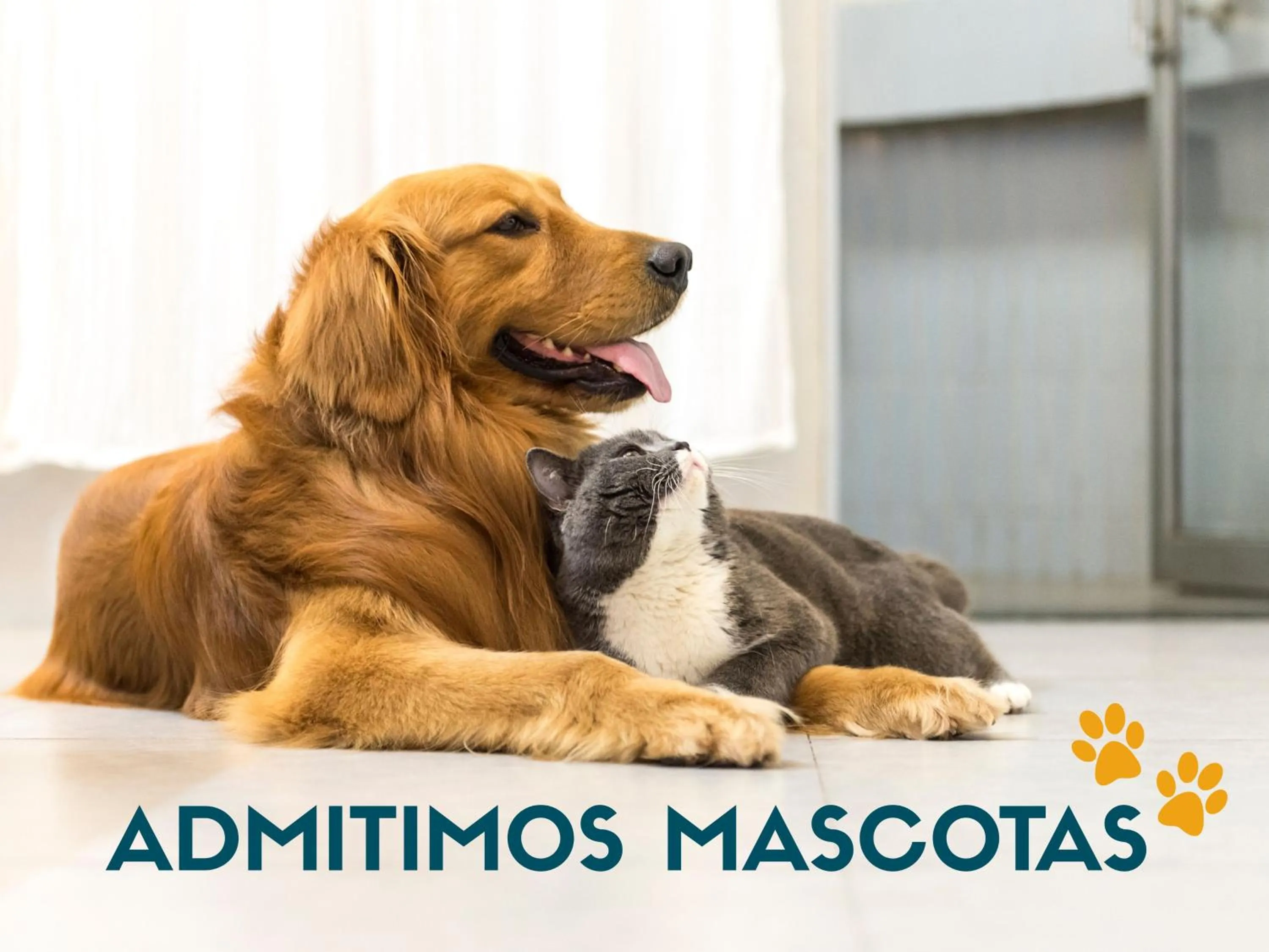 Pets in Apartamentos Marcomar 3000