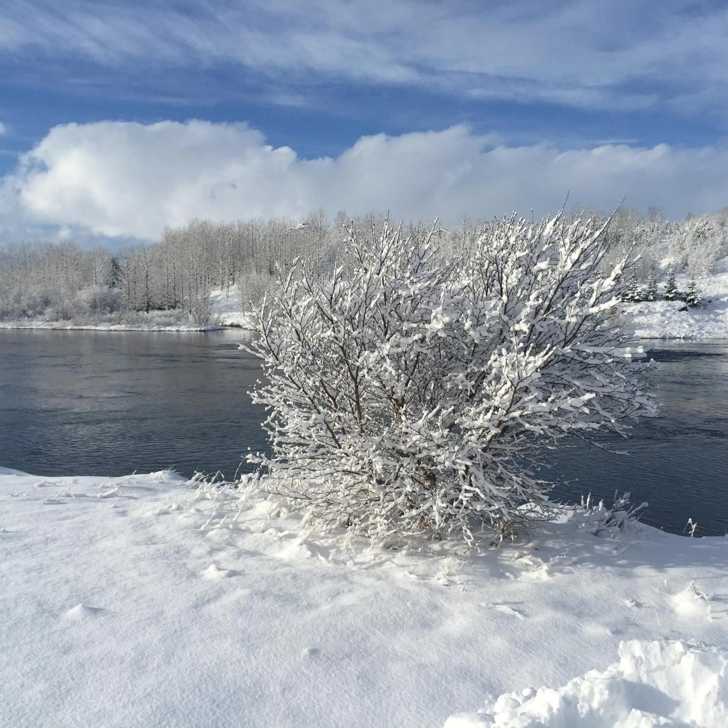 Natural landscape in Welcome Riverside Guesthouse