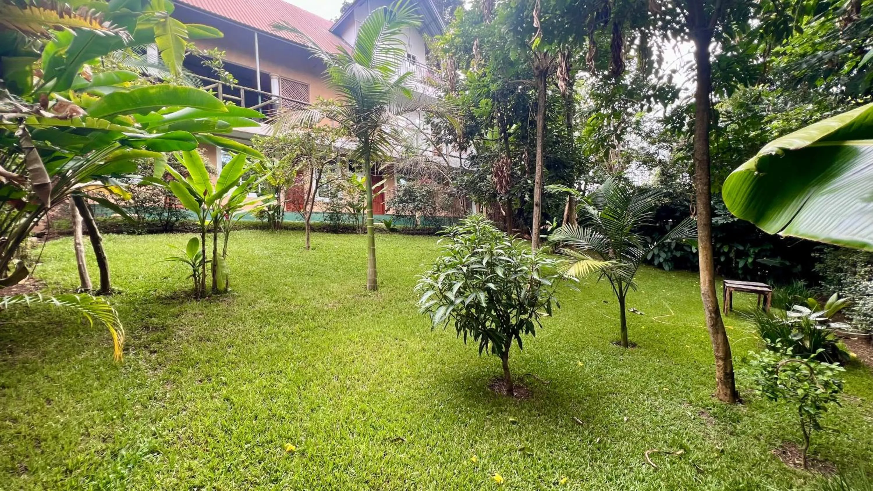 Natural landscape in Skill forest lodge