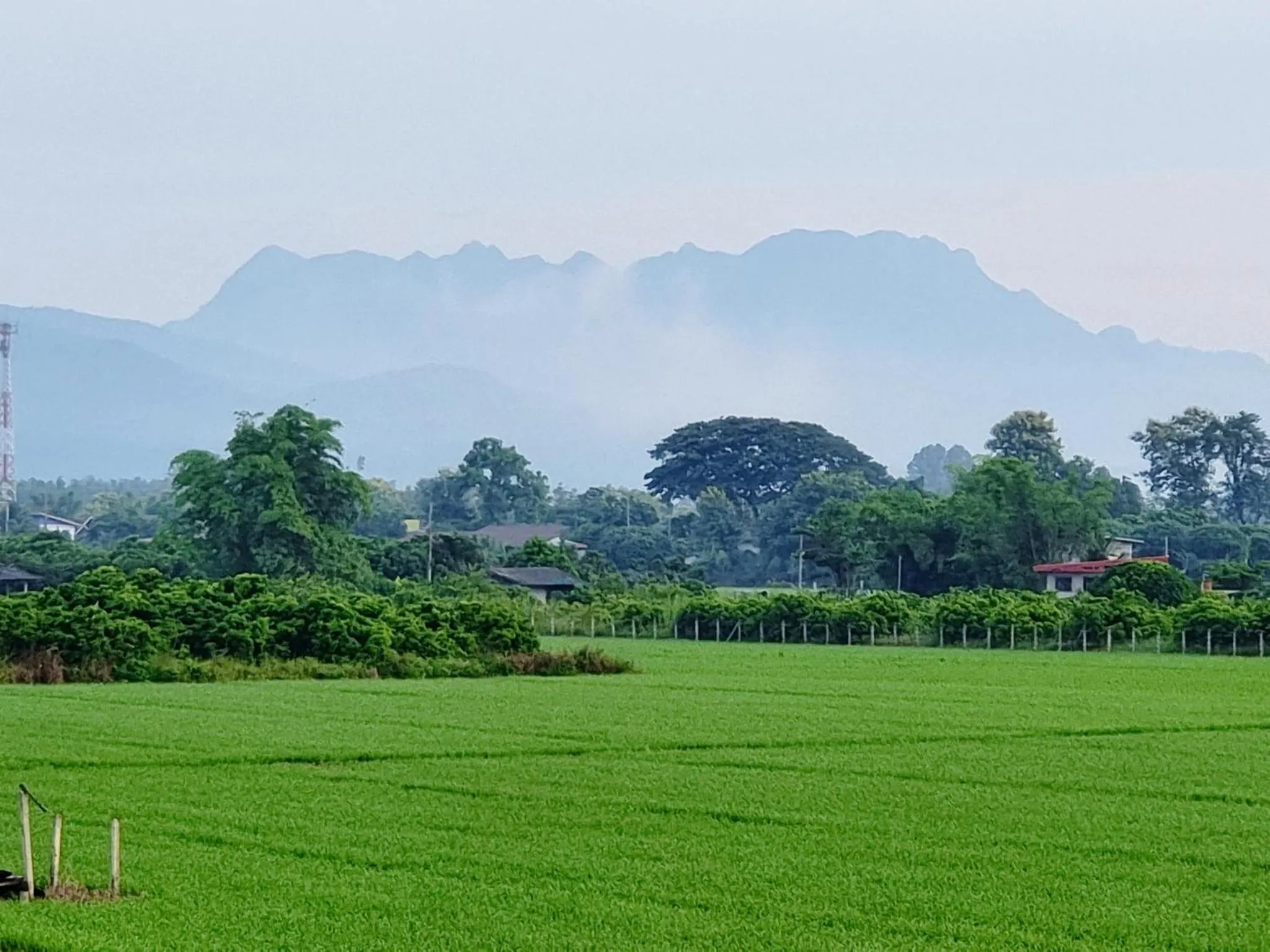 Restaurant/places to eat in DooNa Resort แลภูดูนา