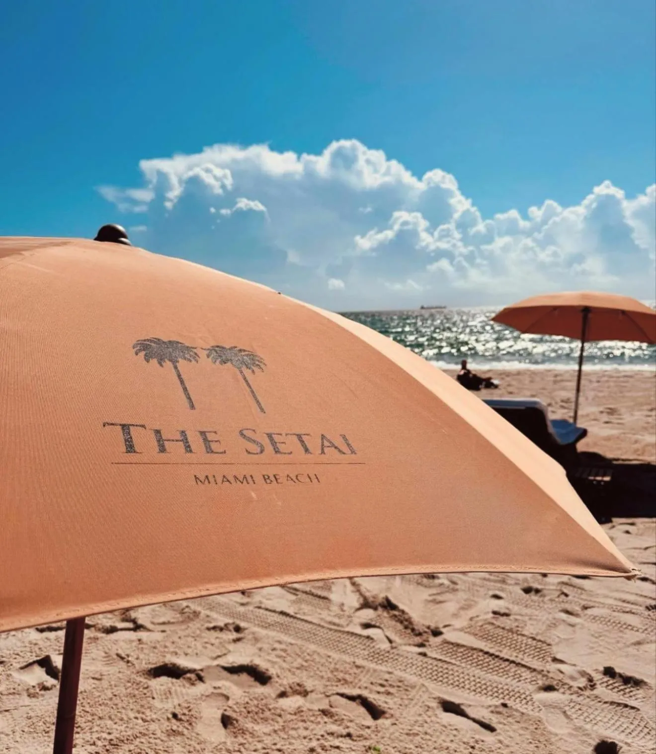 Beach in THE SETAI 5 STARS HOTEL-RESIDENCE MIAMI BEACH OCEANVIEW 2 Bedroom UNIQUE