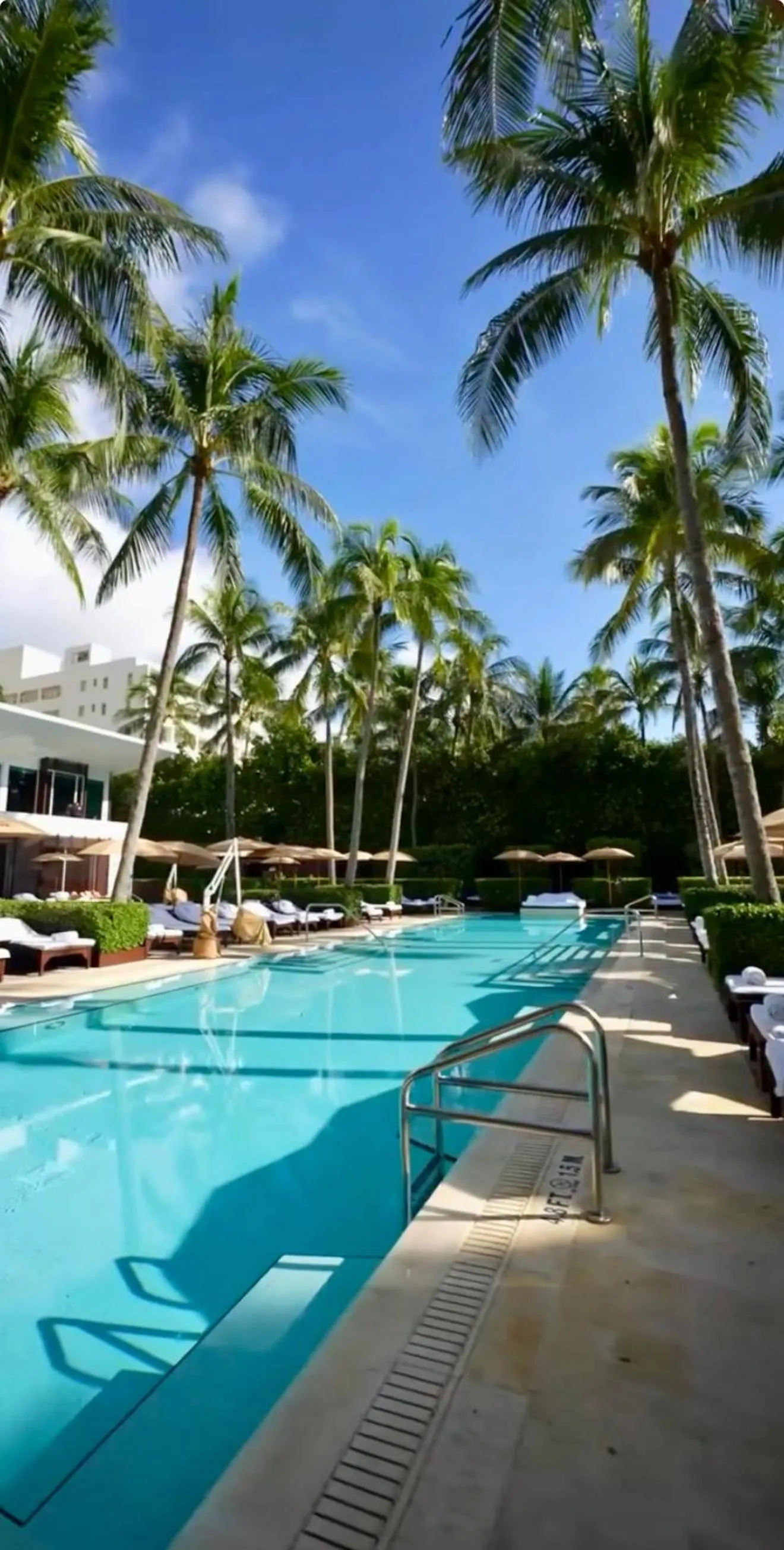 Swimming pool in THE SETAI 5 STARS HOTEL-RESIDENCE MIAMI BEACH OCEANVIEW 2 Bedroom UNIQUE