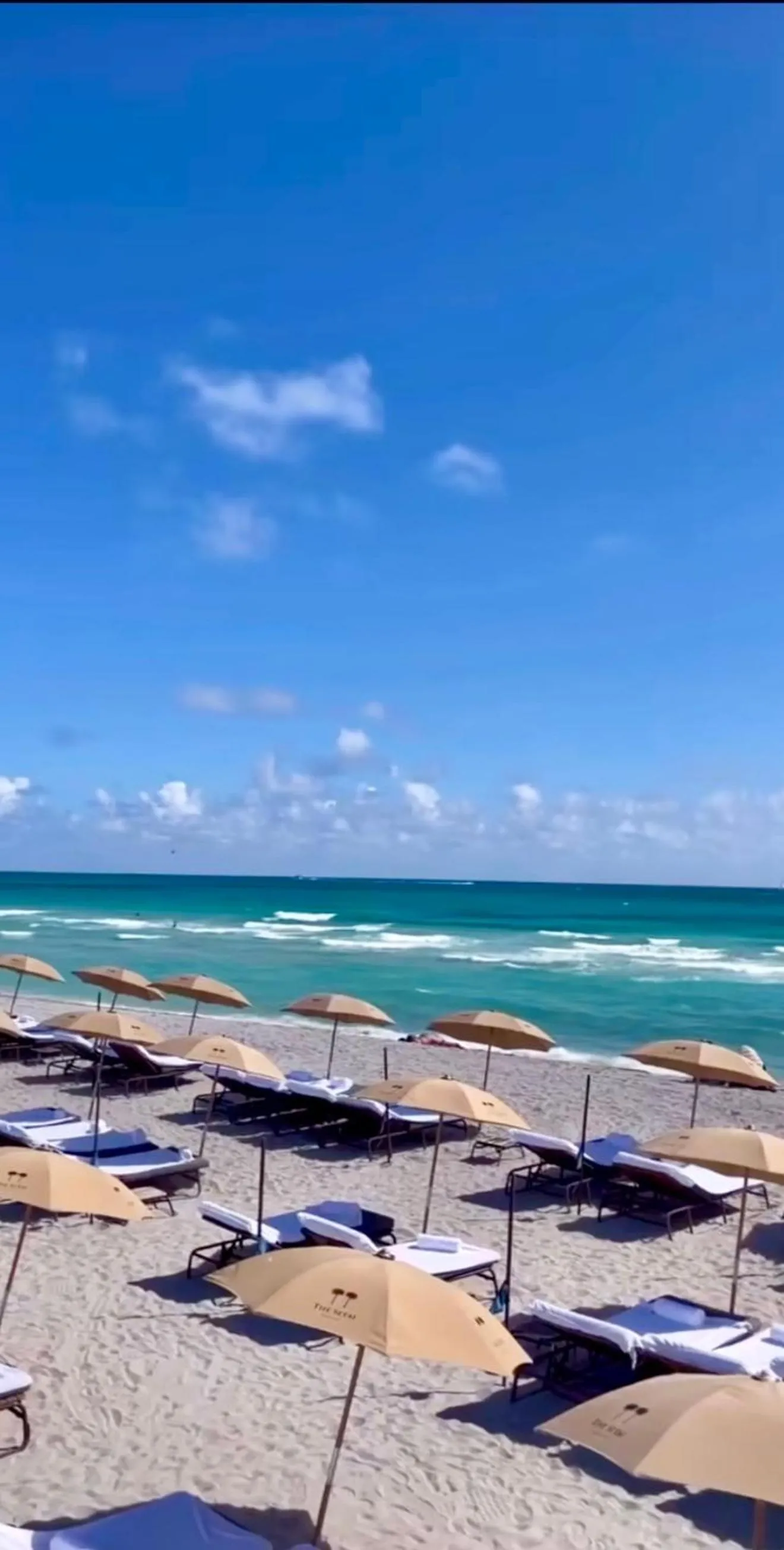 Beach in THE SETAI 5 STARS HOTEL-RESIDENCE MIAMI BEACH OCEANVIEW 2 Bedroom UNIQUE
