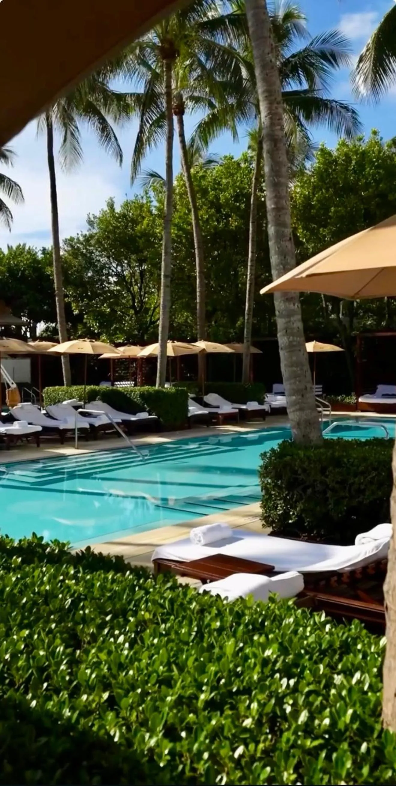 Swimming pool in THE SETAI 5 STARS HOTEL-RESIDENCE MIAMI BEACH OCEANVIEW 2 Bedroom UNIQUE