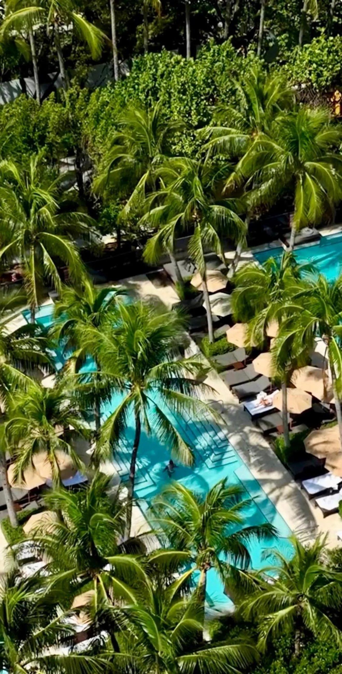 Swimming pool in THE SETAI 5 STARS HOTEL-RESIDENCE MIAMI BEACH OCEANVIEW 2 Bedroom UNIQUE