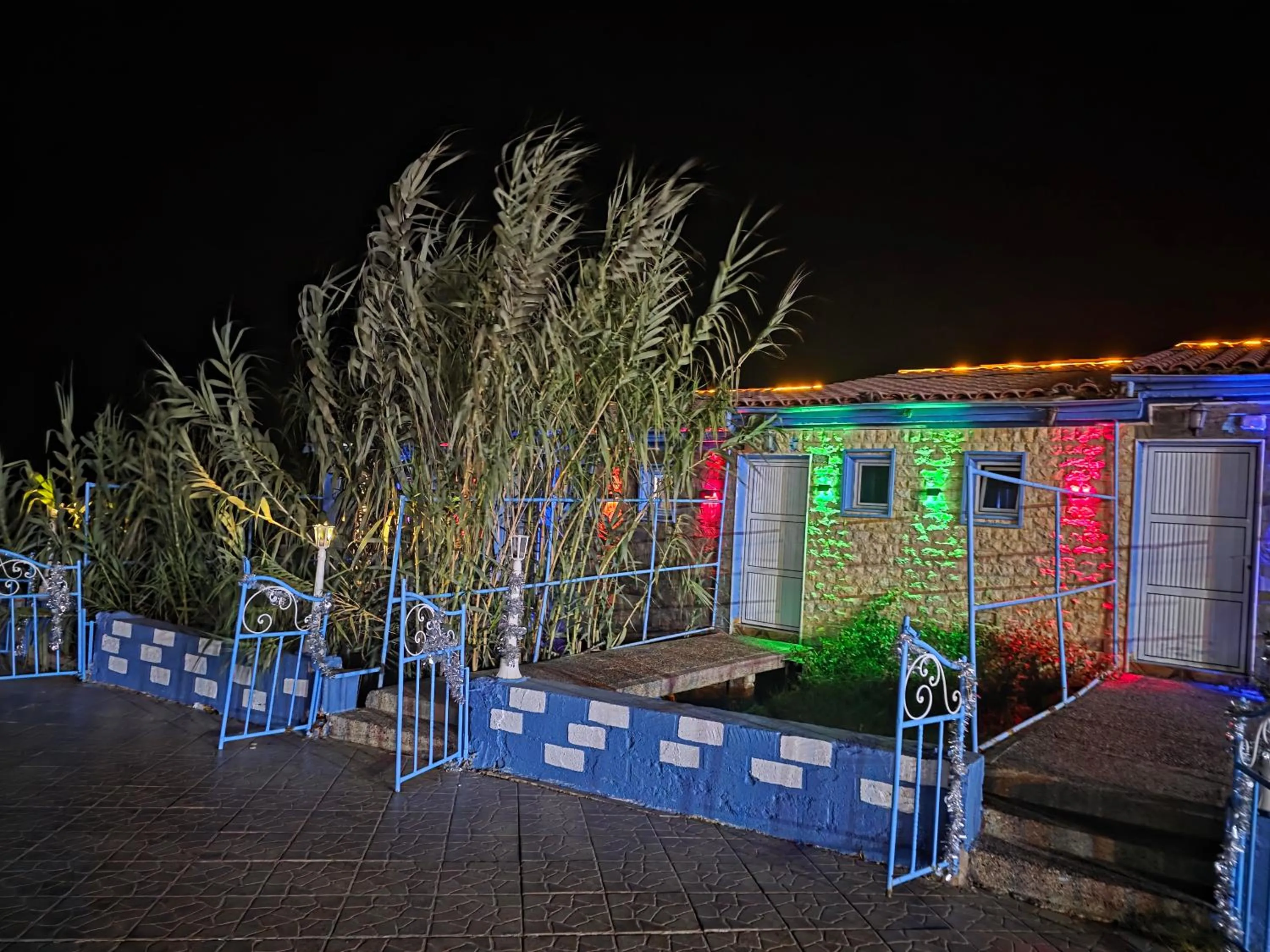 Night in Tahla Garden