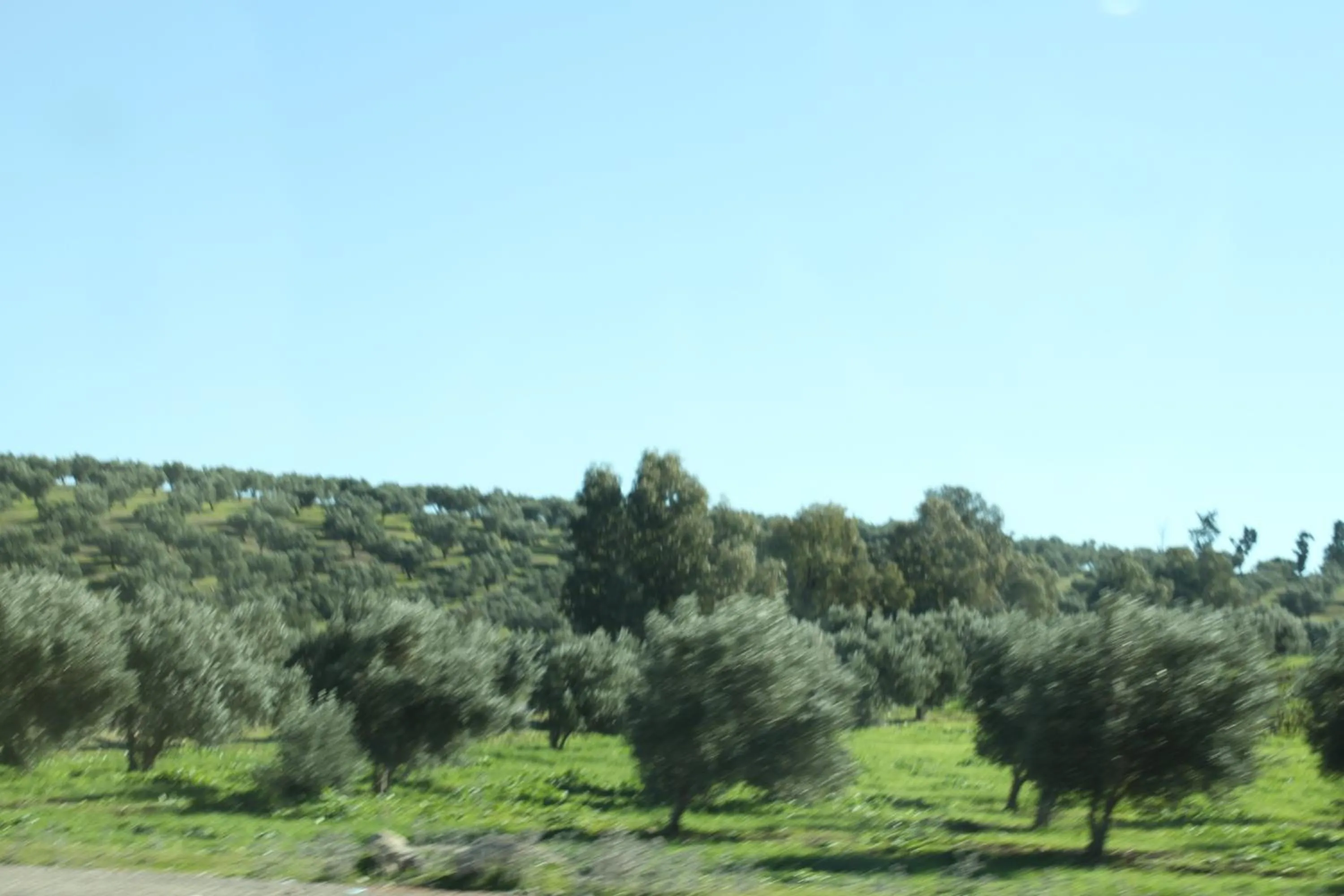 Natural landscape in Tahla Garden