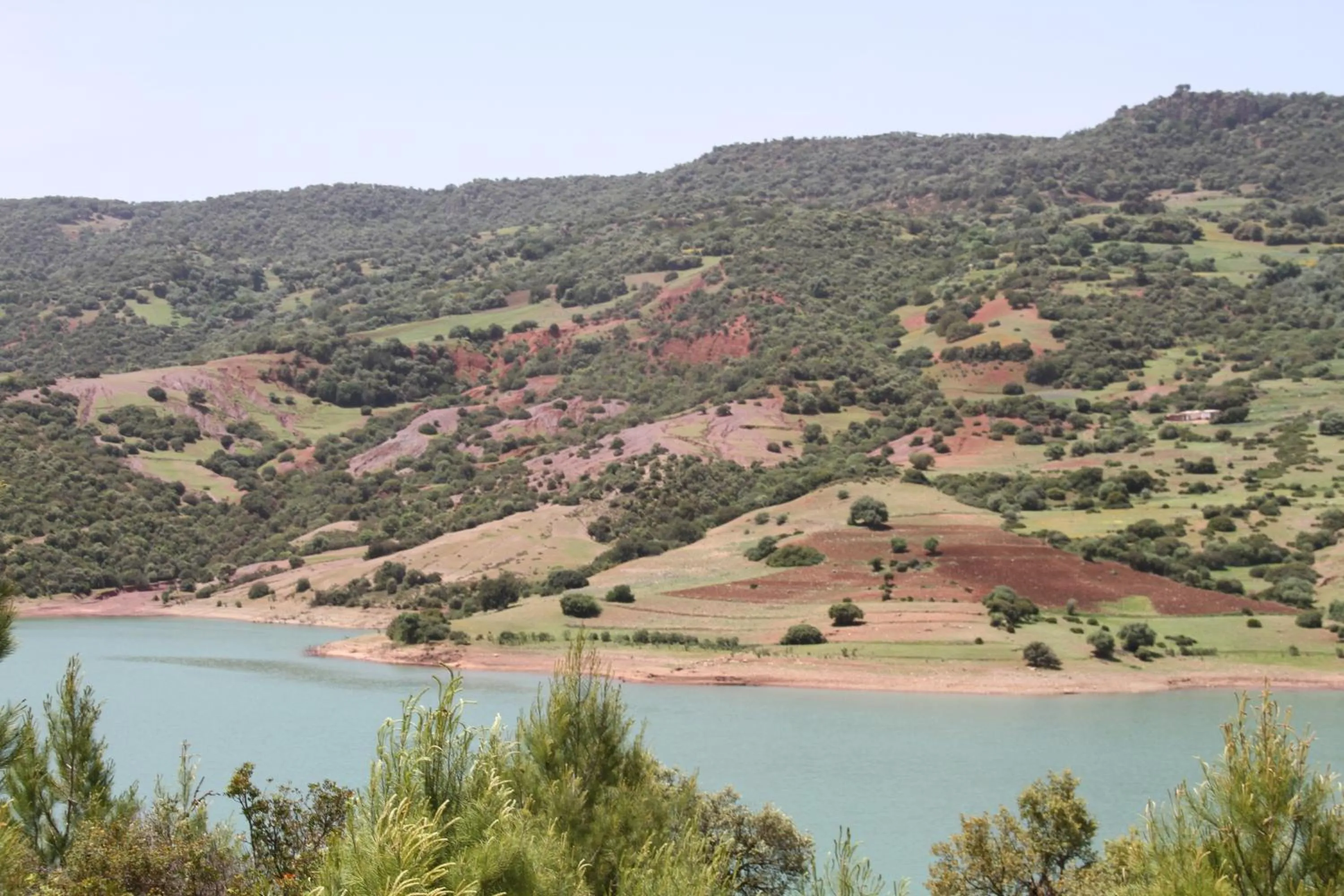 Natural landscape in Tahla Garden