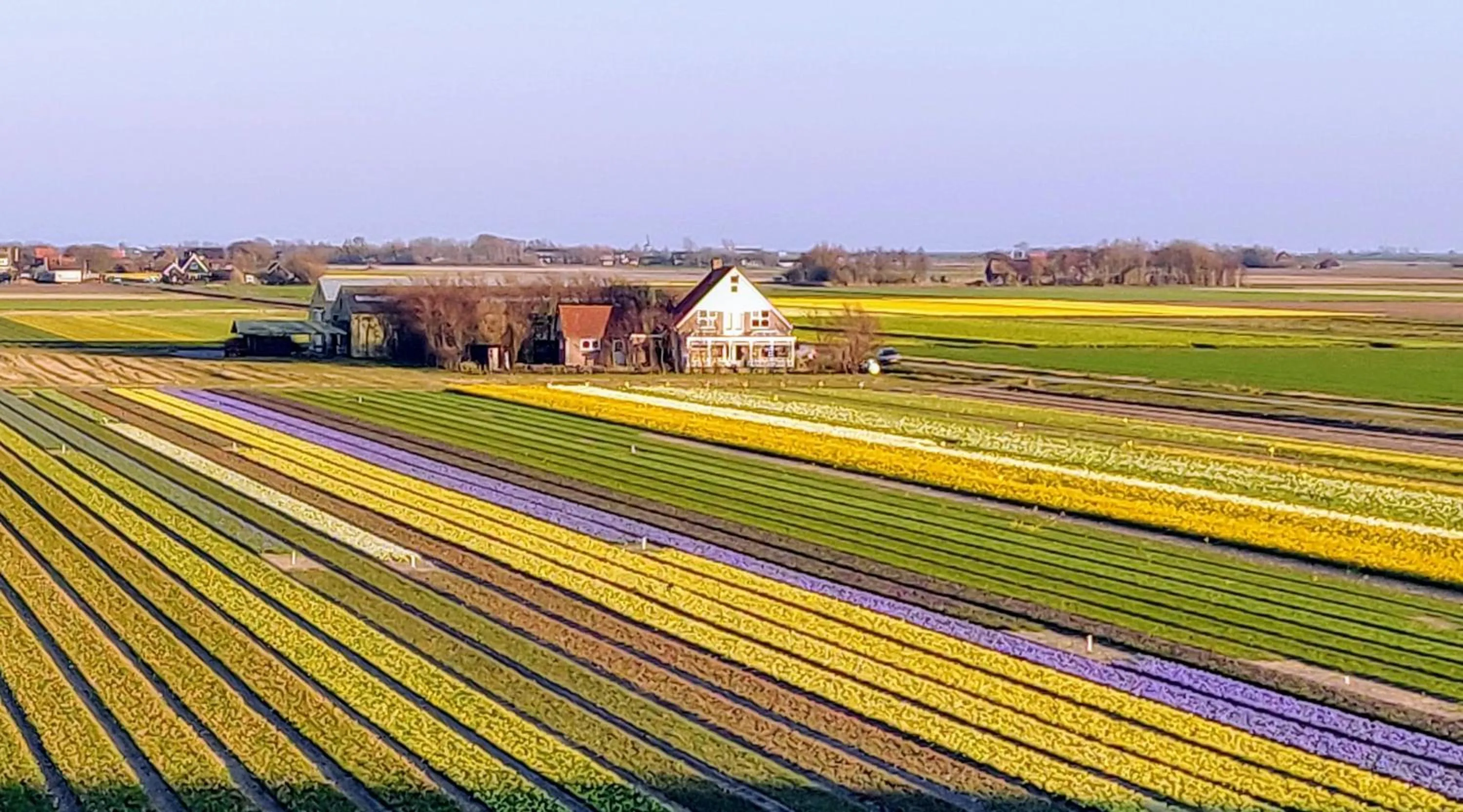 Vakantiebungalow Texel
