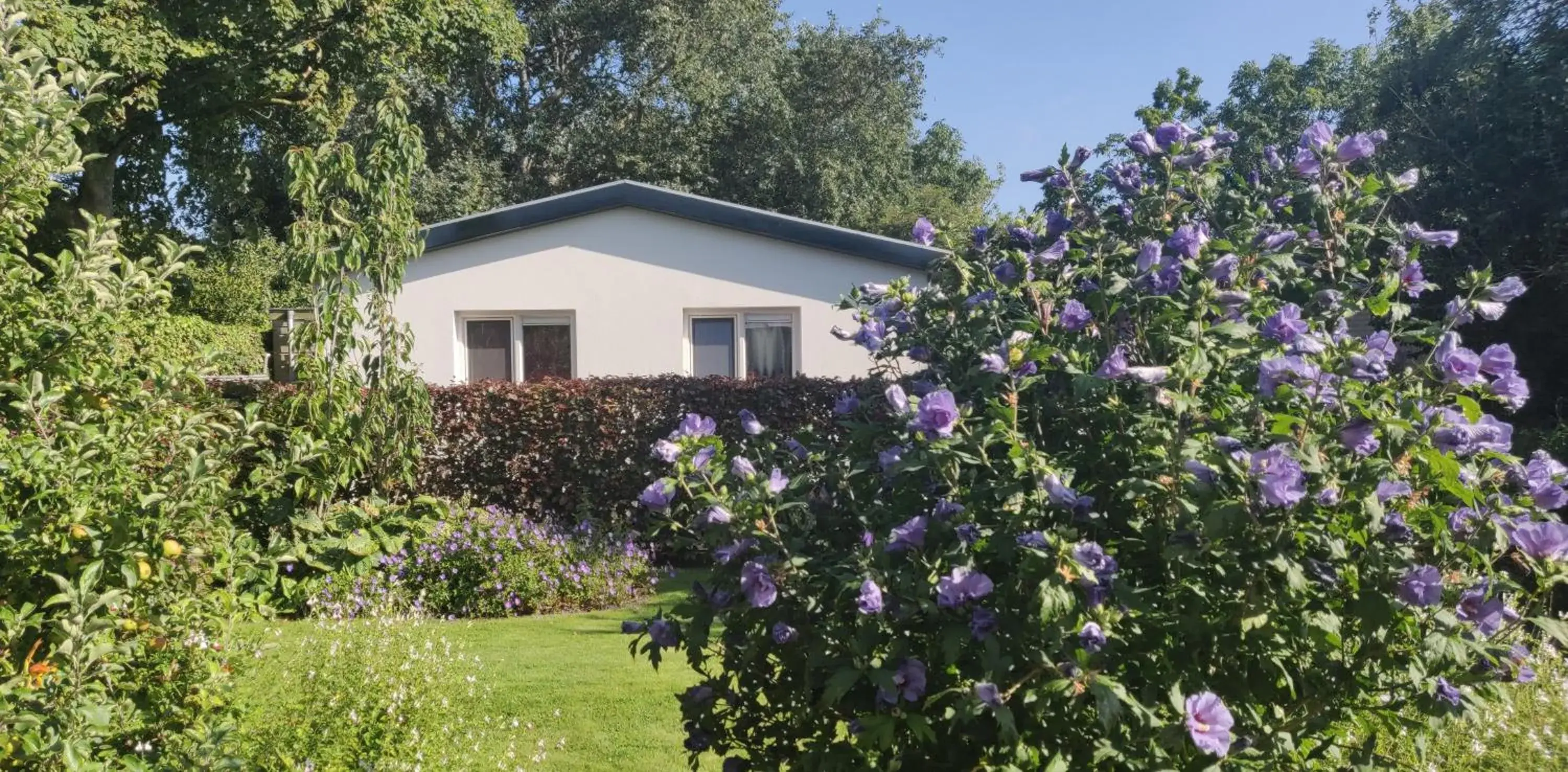Vakantiebungalow Texel Vakantiebungalow Texel