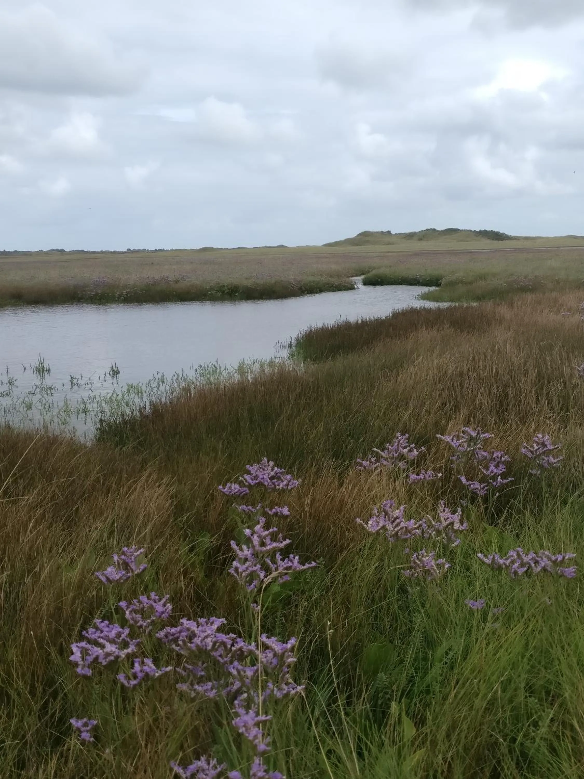 Natural landscape in Vakantiebungalow Texel