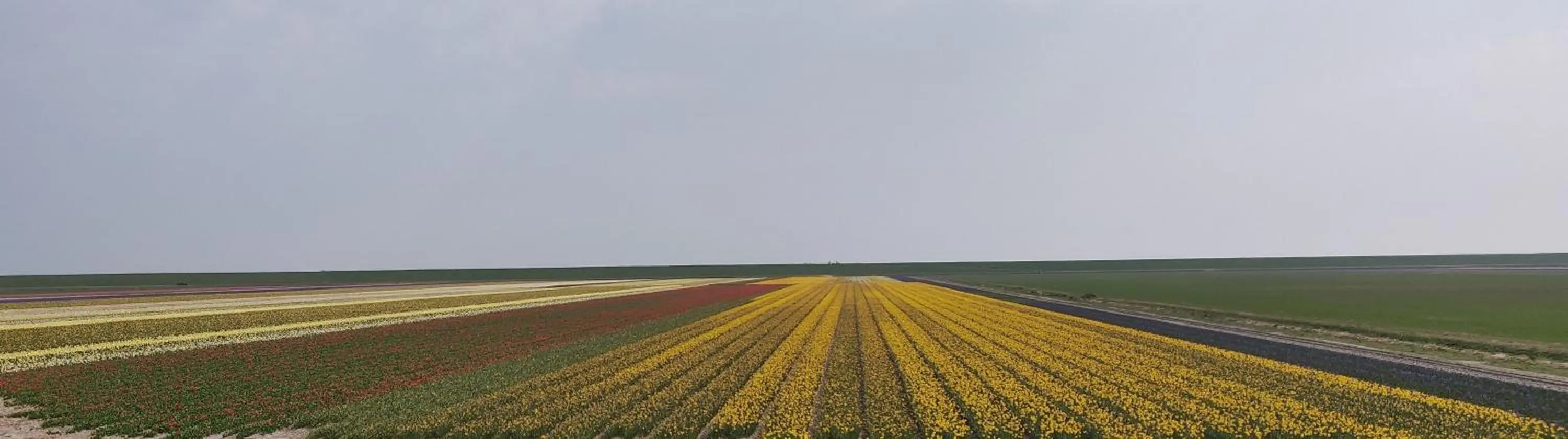 Vakantiebungalow Texel