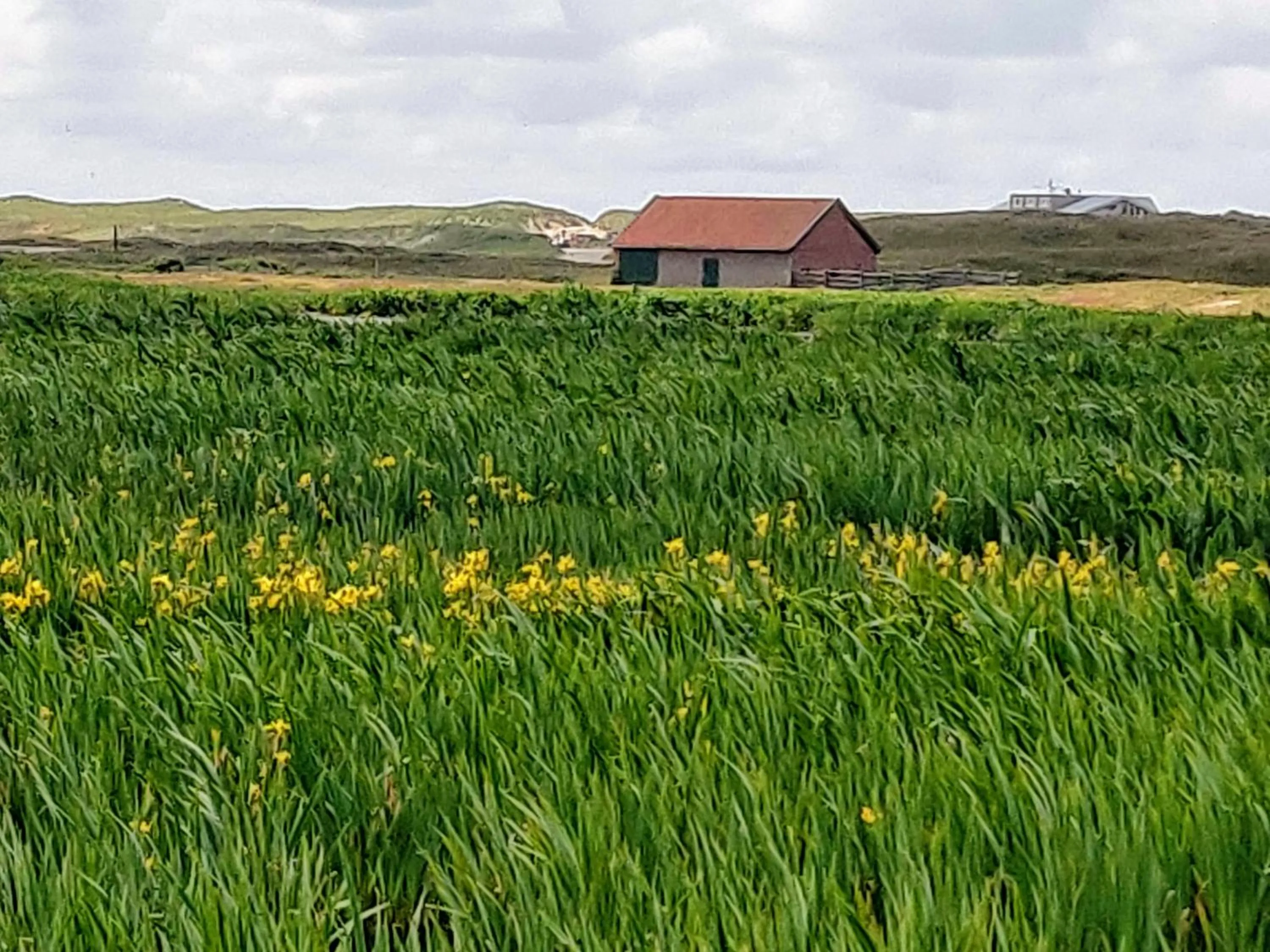 Vakantiebungalow Texel