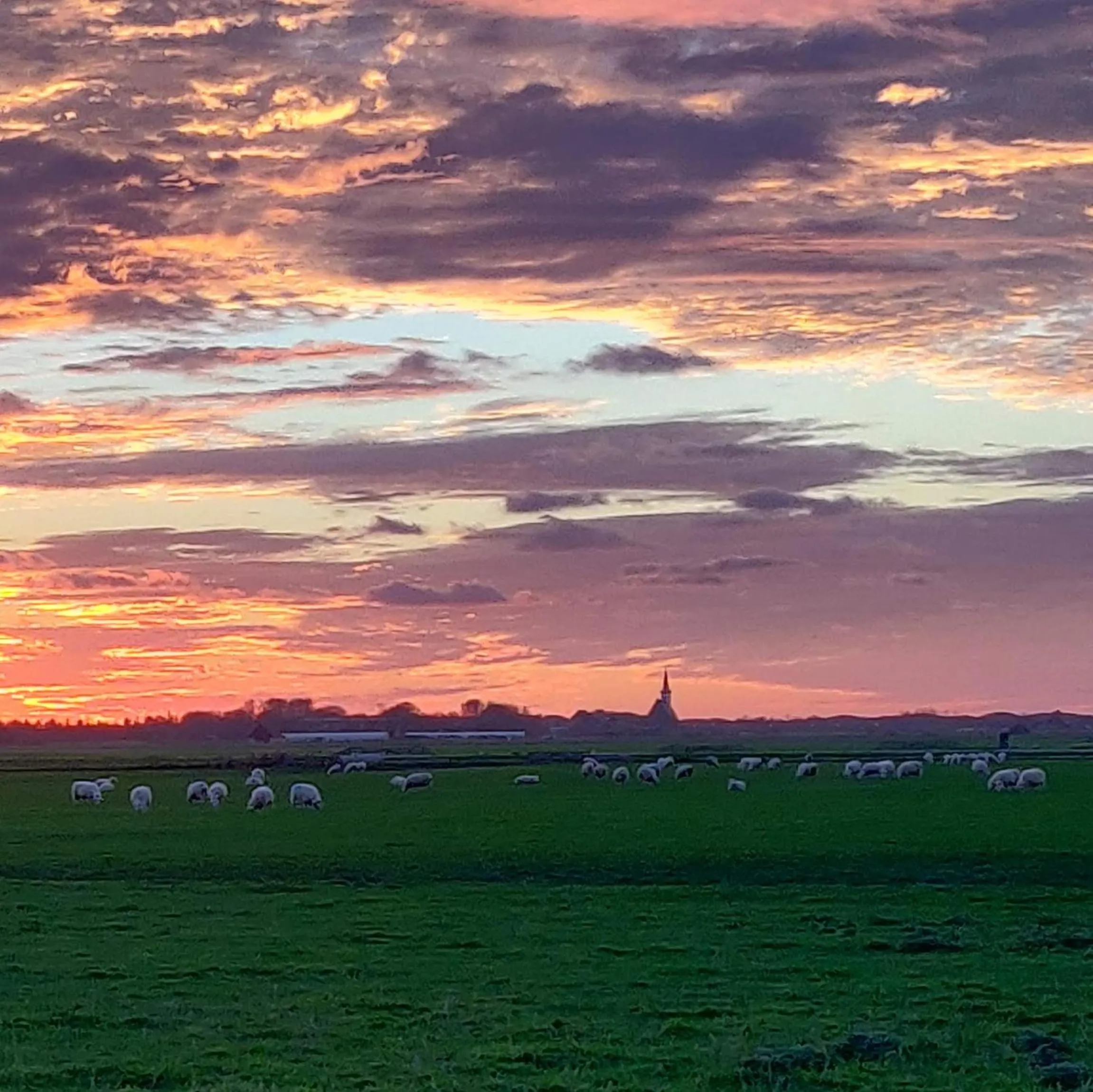 Vakantiebungalow Texel