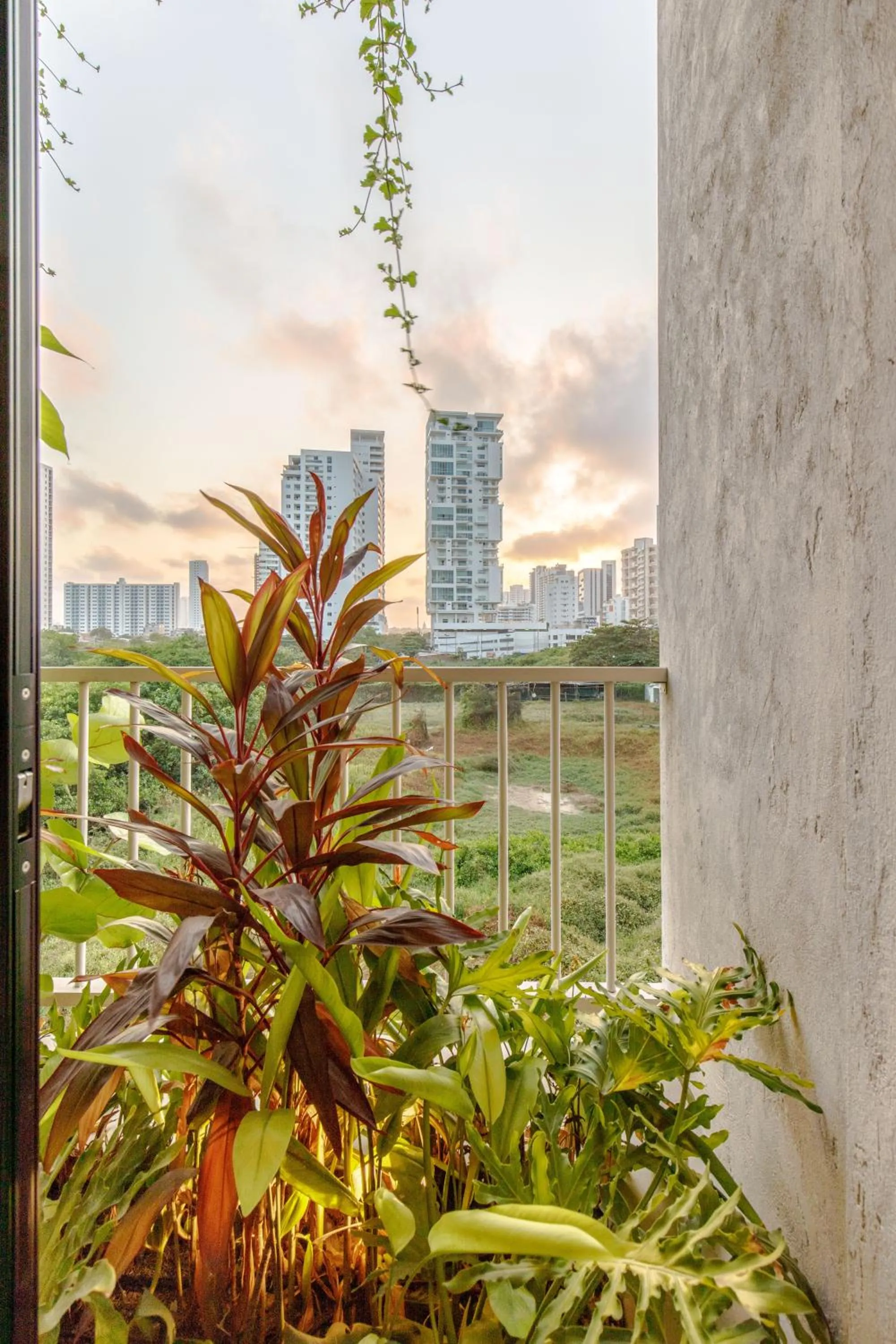 Day in Bondo Estudio