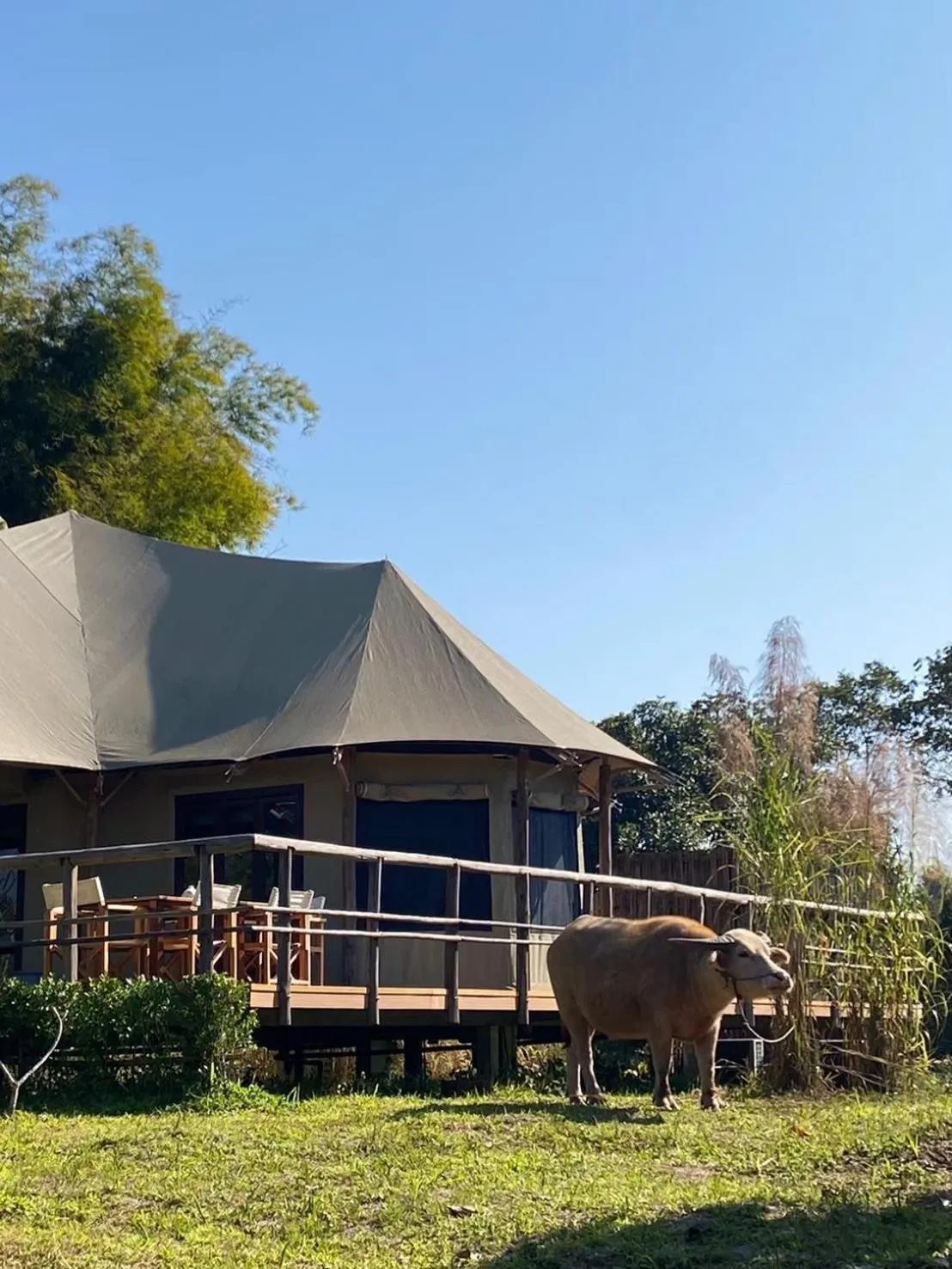 Tantawan Tented Camp by Dusit, Chiang Rai