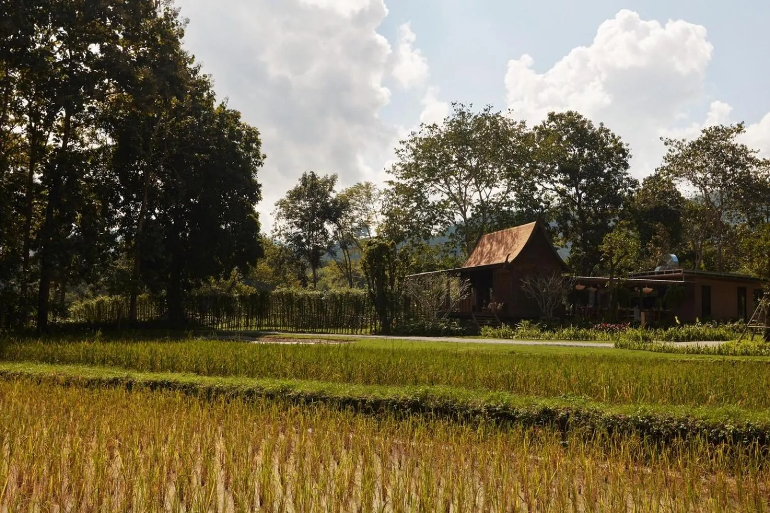 Tantawan Tented Camp by Dusit, Chiang Rai
