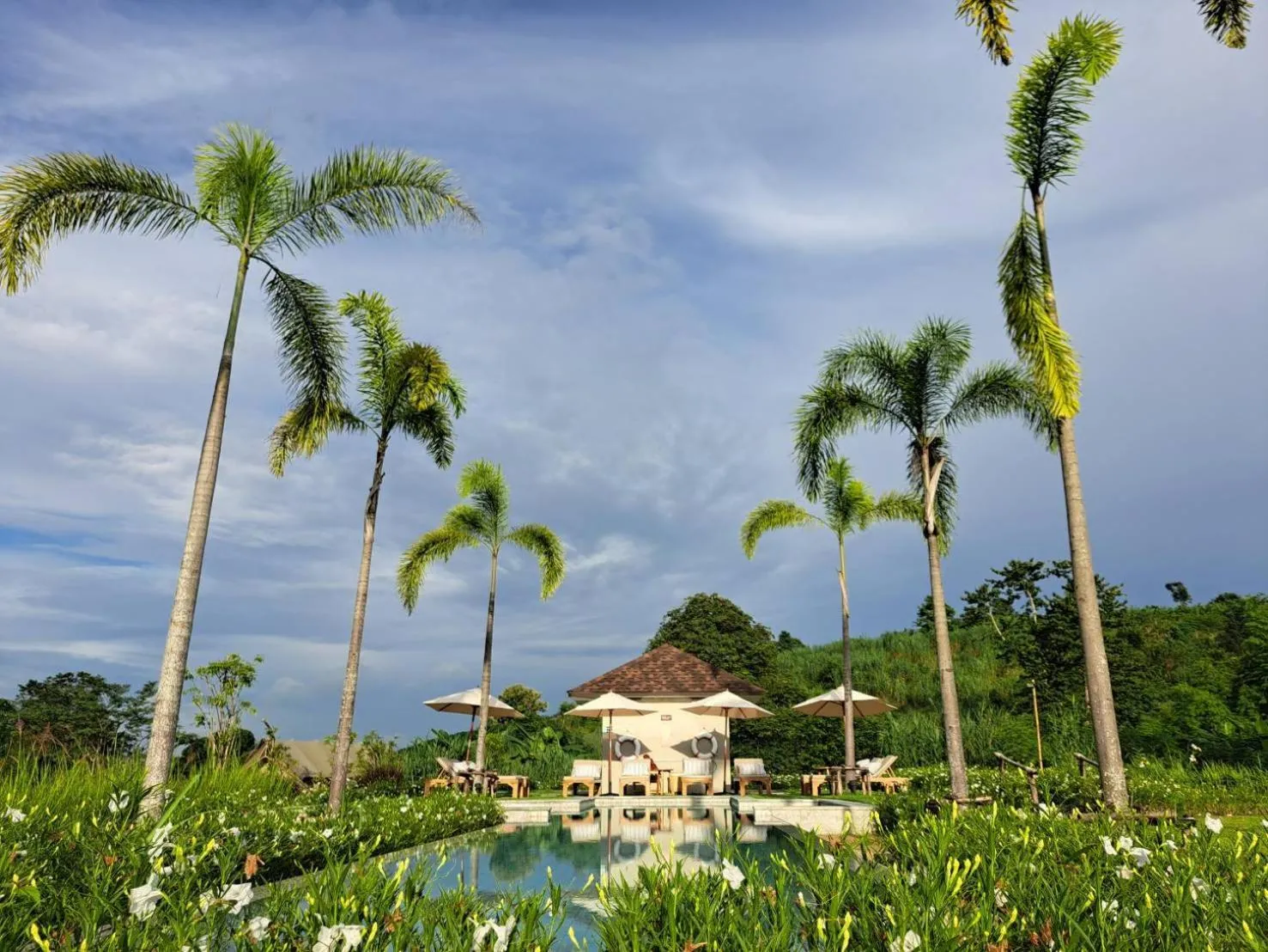 Swimming pool in Tantawan Tented Camp by Dusit, Chiang Rai