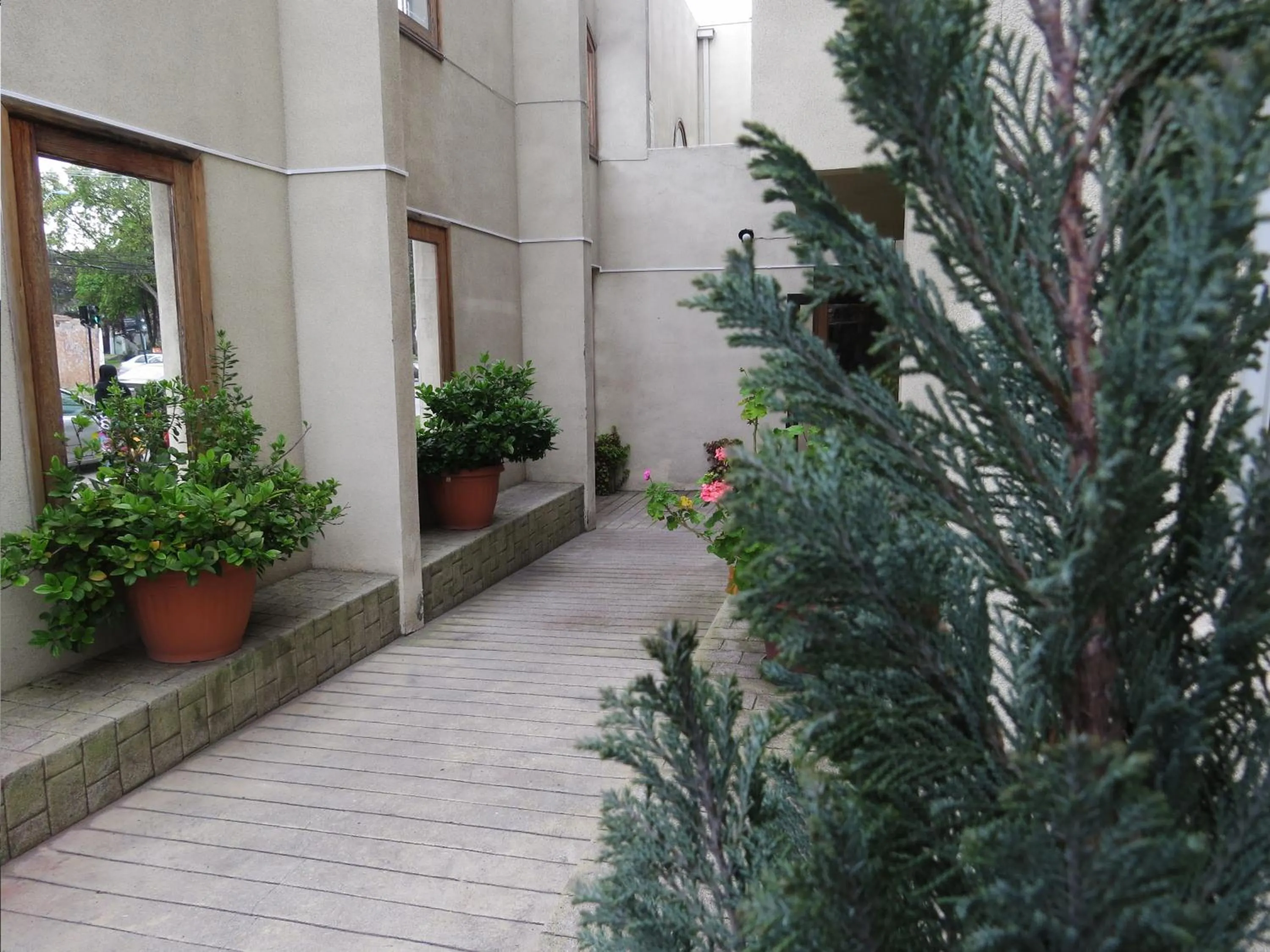 Restaurant/places to eat in Hotel Doria