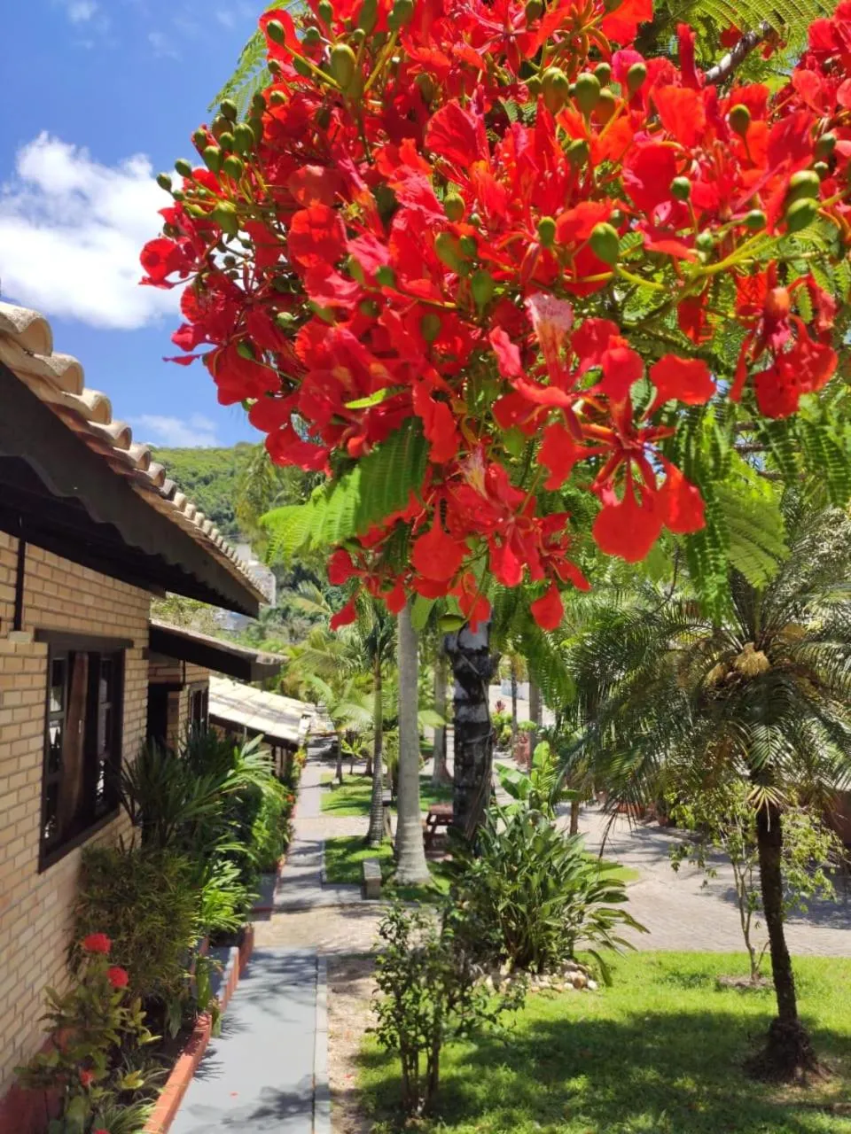 Property building in Chalés do Holandês Eco Pousada