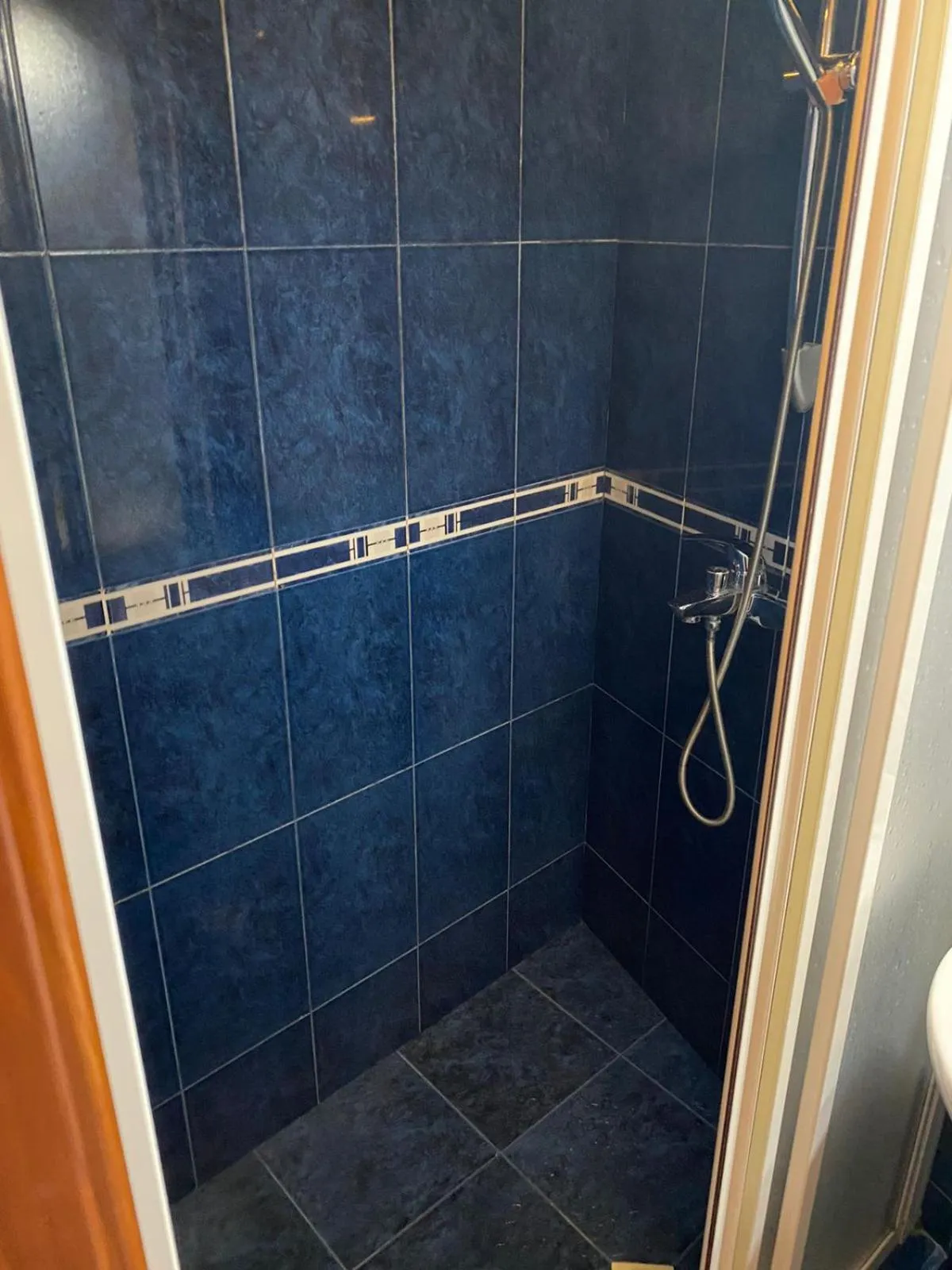 Shower in Hotel Pavo